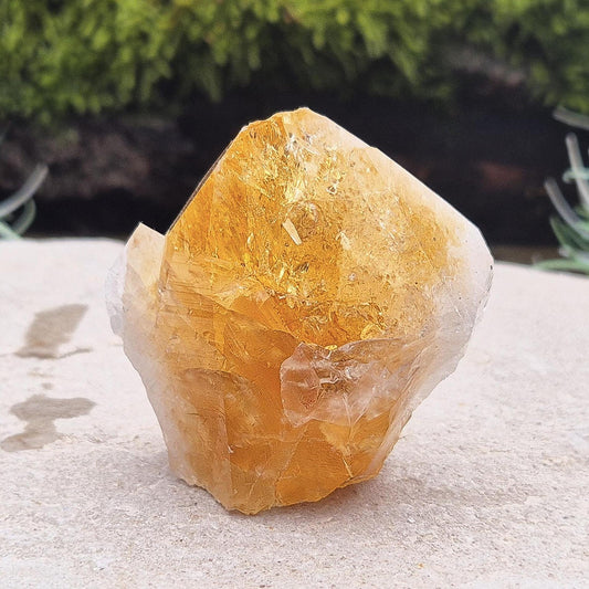 Citrine Crystal Standing Point from Brazil. Has light reflecting inclusions at the tip. Point is polished, sides are natural and the base is cut flat so it will sit on an even surface.