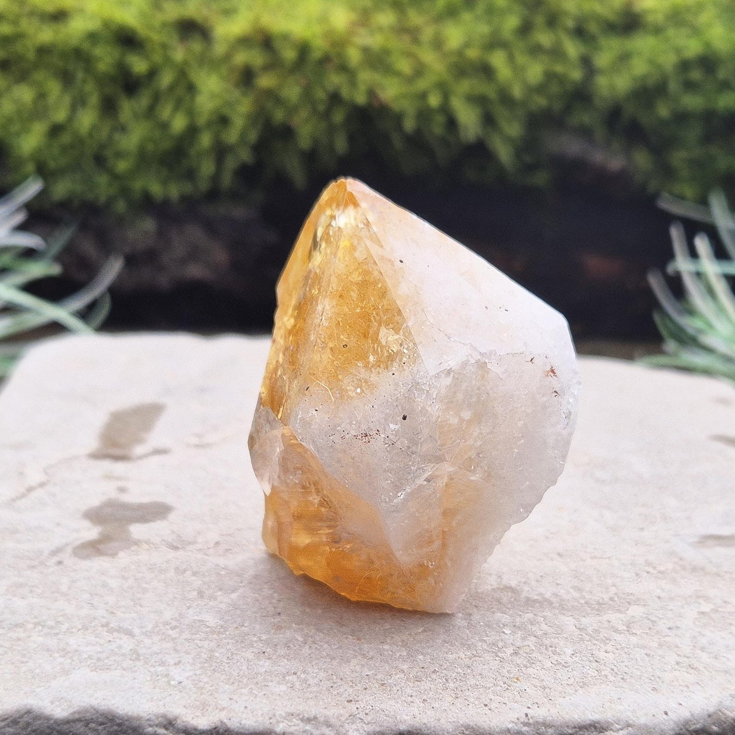 Citrine Crystal Standing Point from Brazil. Has light reflecting inclusions at the tip. Point is polished, sides are natural and the base is cut flat so it will sit on an even surface.