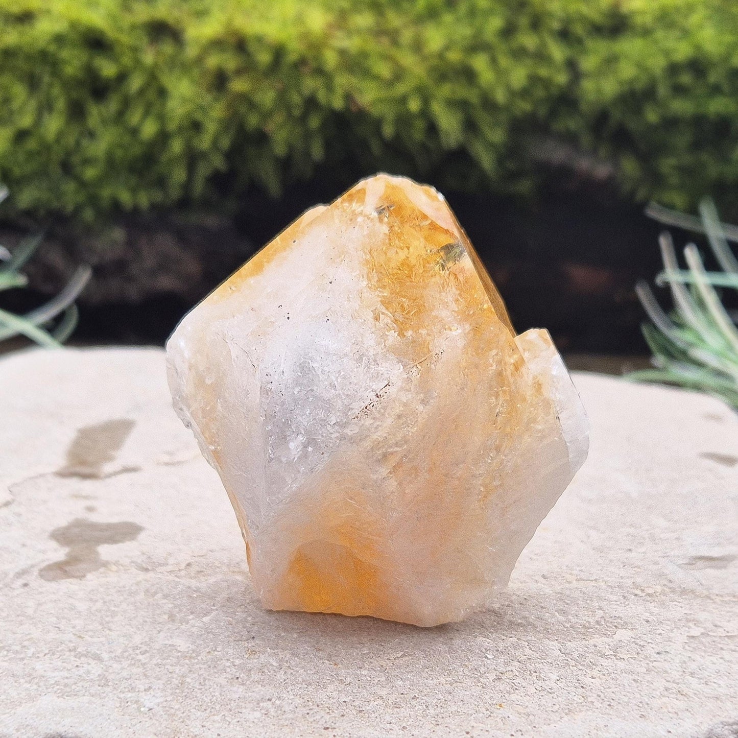 Citrine Crystal Standing Point from Brazil. Has light reflecting inclusions at the tip. Point is polished, sides are natural and the base is cut flat so it will sit on an even surface.