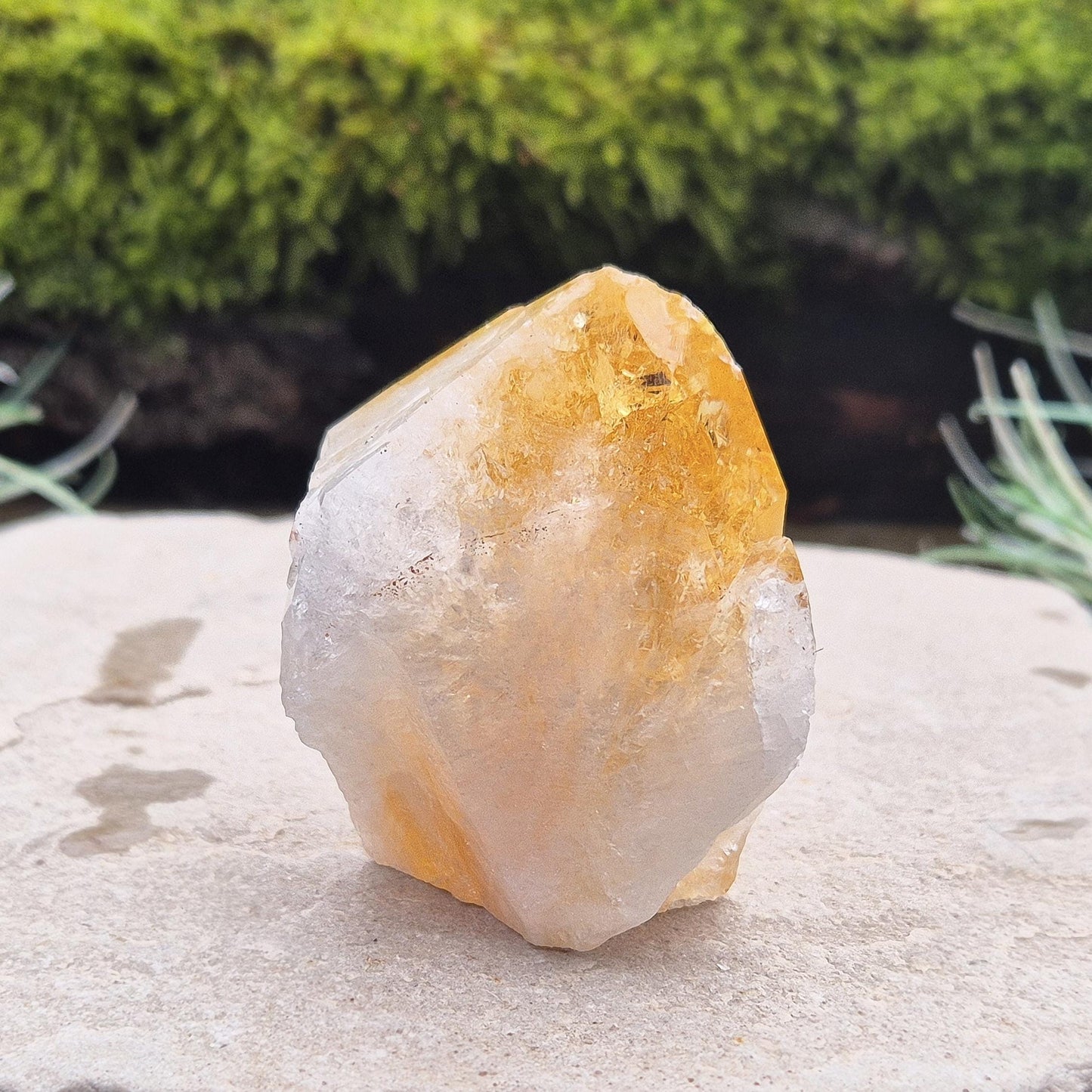 Citrine Crystal Standing Point from Brazil. Has light reflecting inclusions at the tip. Point is polished, sides are natural and the base is cut flat so it will sit on an even surface.