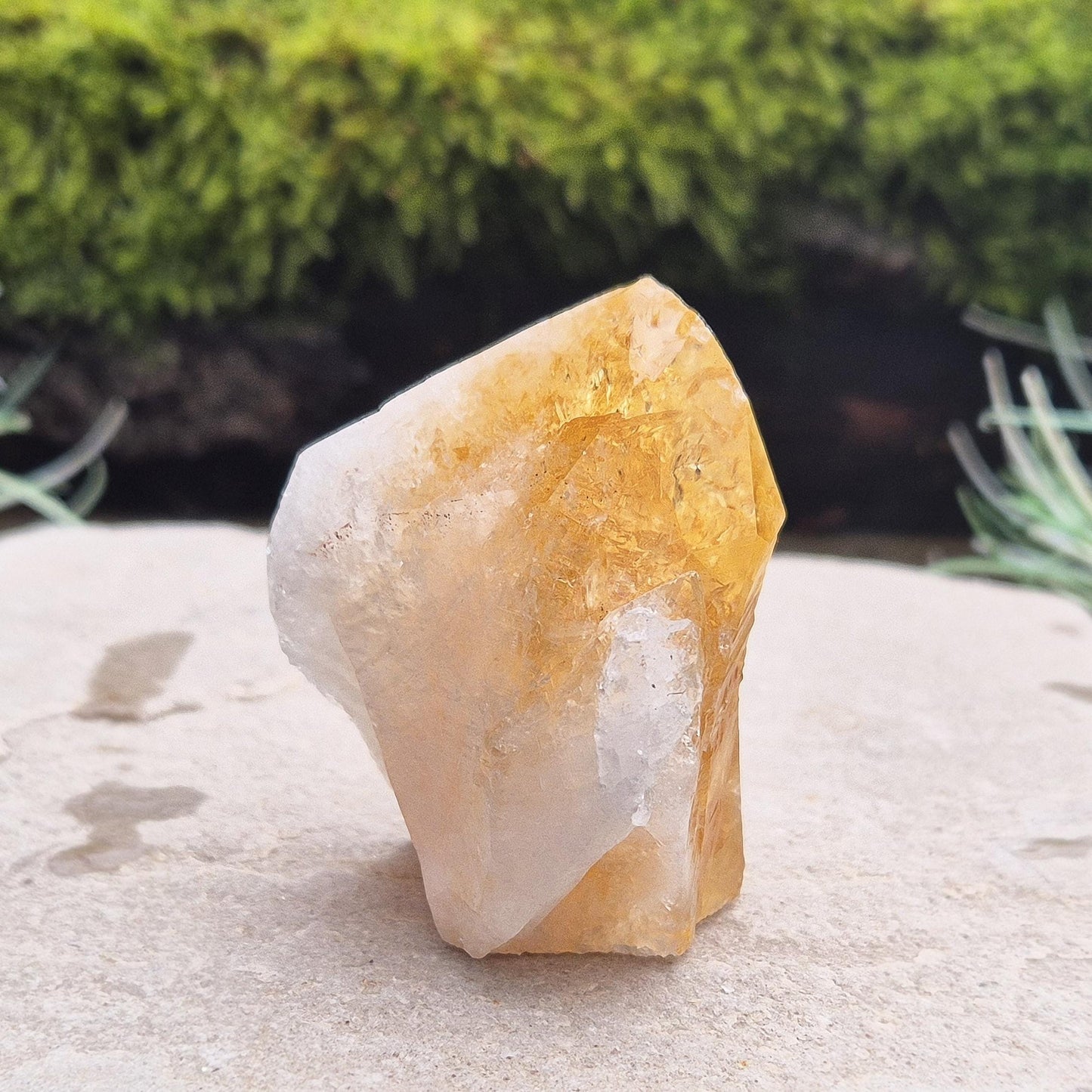 Citrine Crystal Standing Point