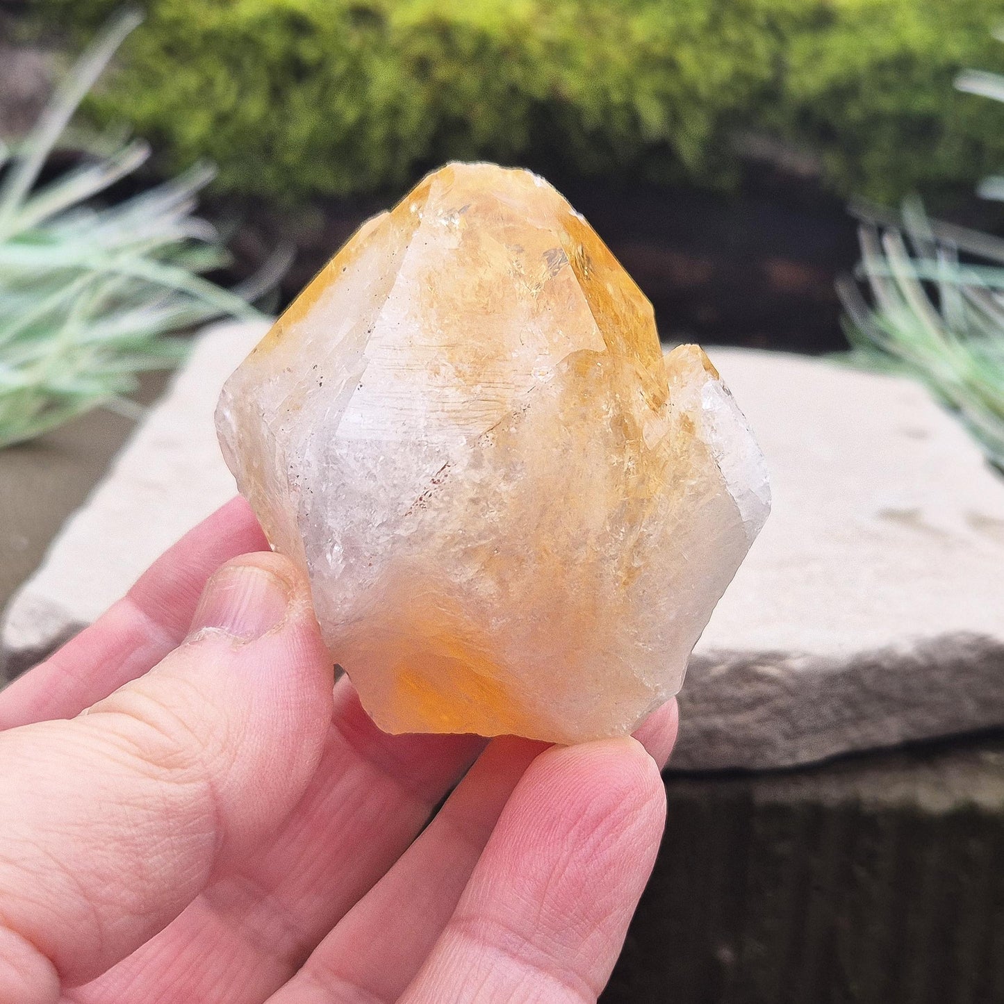 Citrine Crystal Standing Point