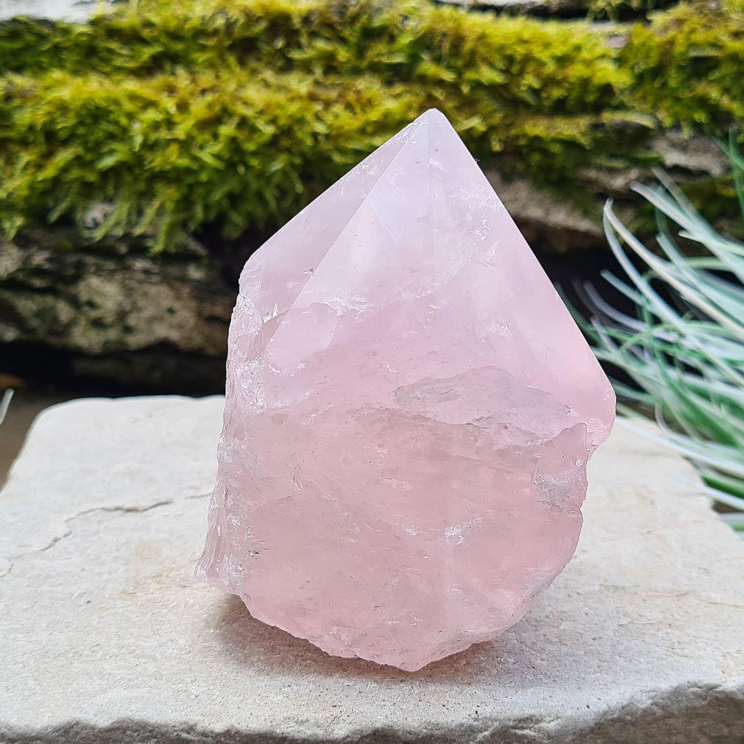 Rose Quartz Crystal Standing point from Brazil. This rose quartz is a lovely pale pink colour. Point is polished, base is cut flat and polished, rest of the crystal is natural.&nbsp;