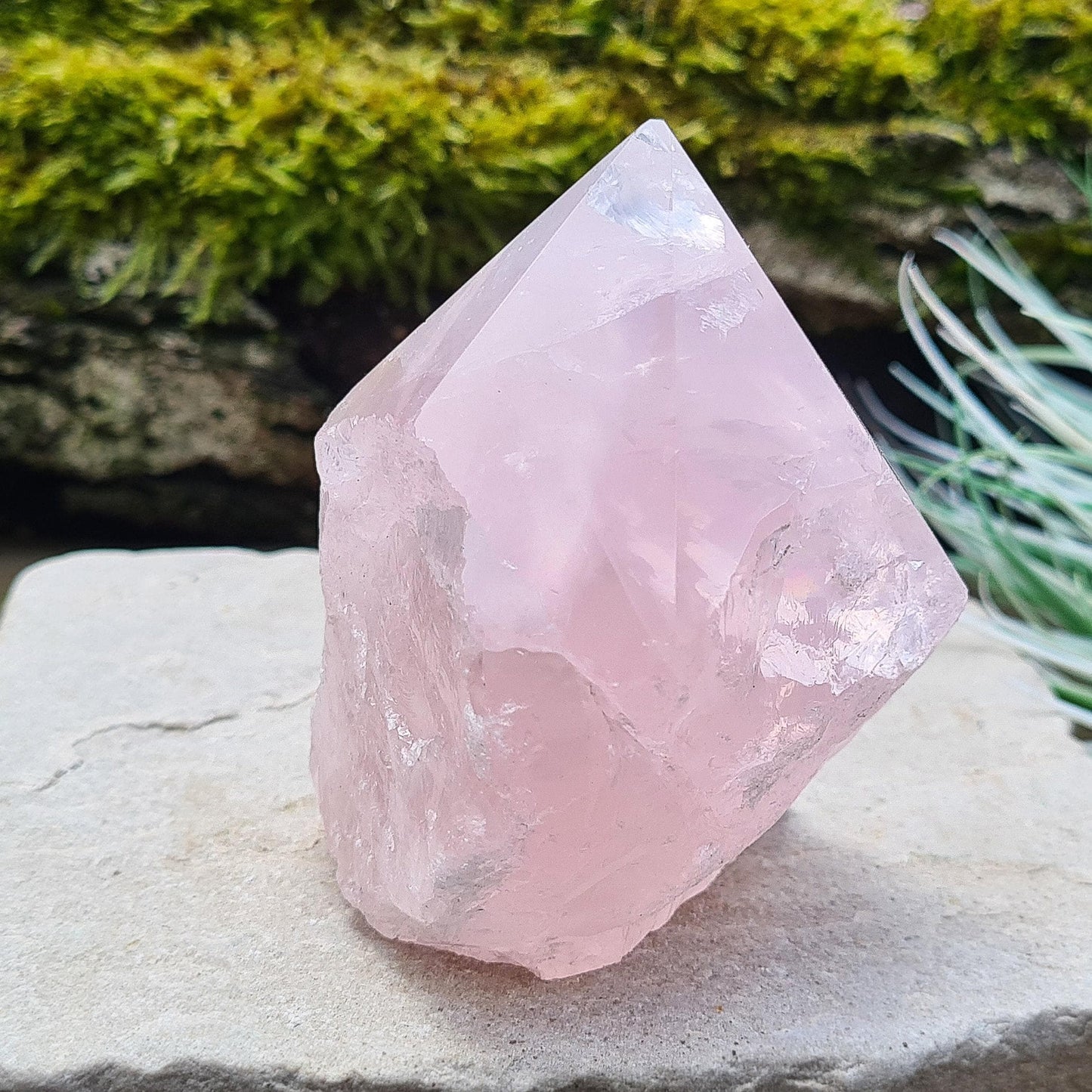 Rose Quartz Crystal Standing point from Brazil. This rose quartz is a lovely pale pink colour. Point is polished, base is cut flat and polished, rest of the crystal is natural.&nbsp;