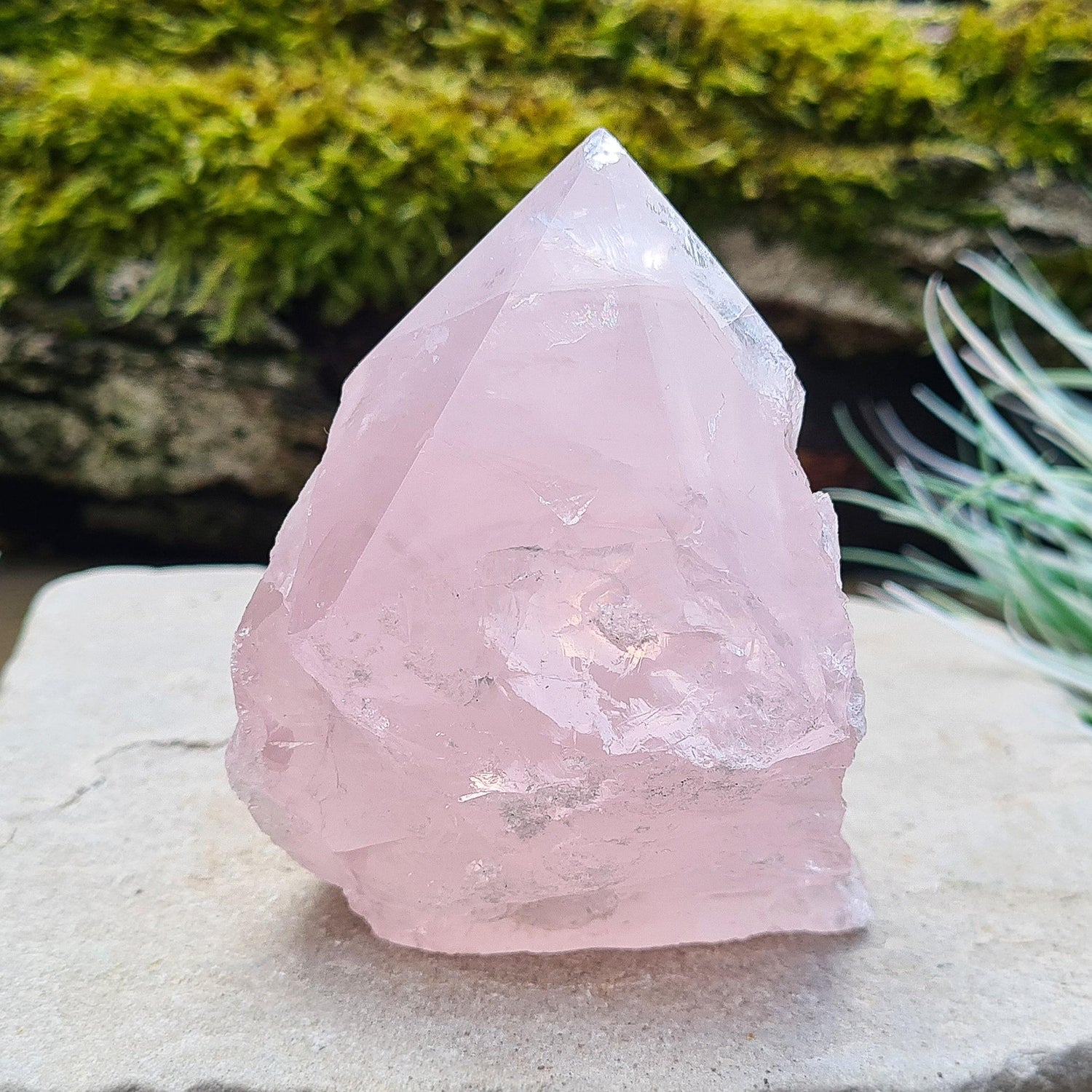 Rose Quartz Crystal Standing point from Brazil. This rose quartz is a lovely pale pink colour. Point is polished, base is cut flat and polished, rest of the crystal is natural.&nbsp;