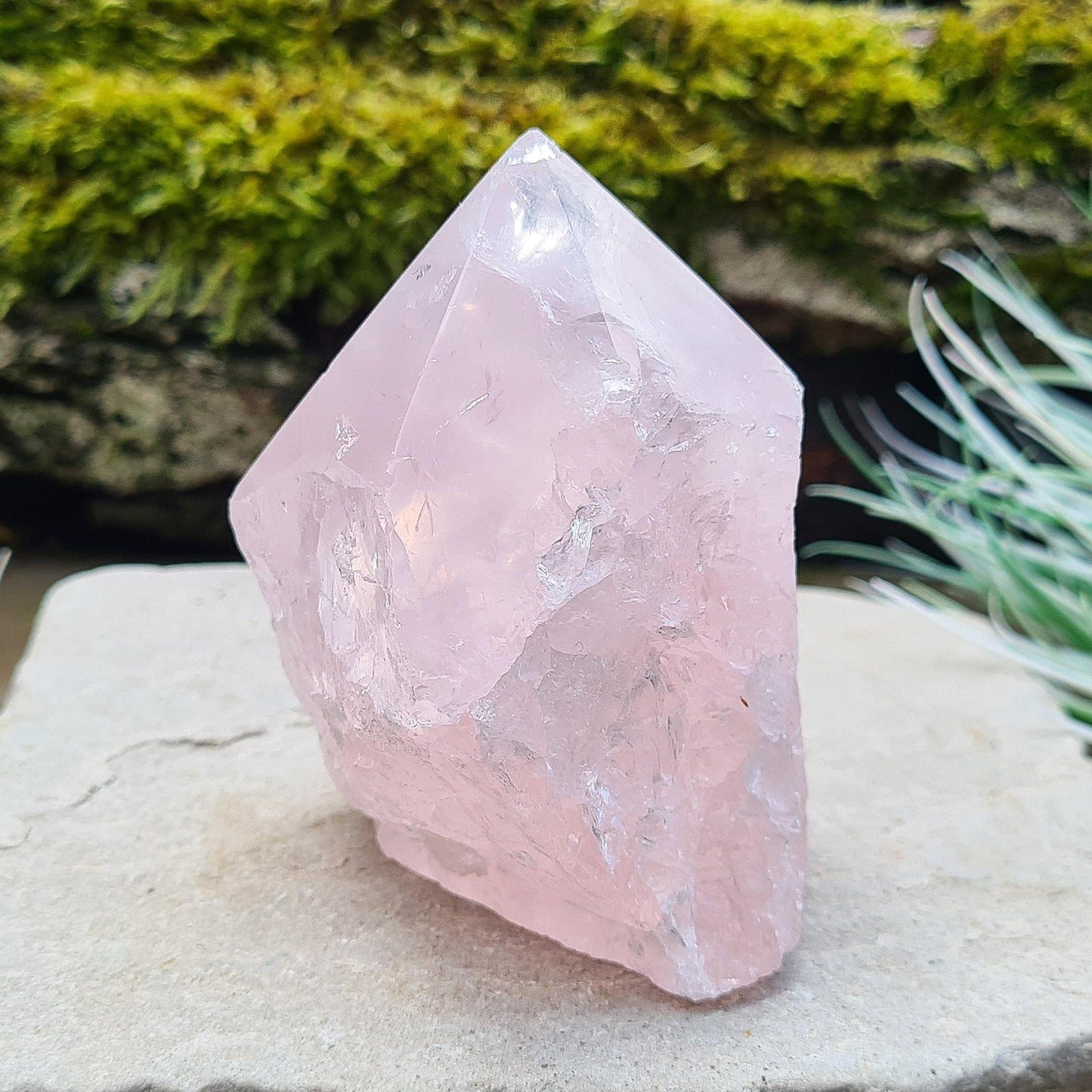 Rose Quartz Crystal Standing point from Brazil. This rose quartz is a lovely pale pink colour. Point is polished, base is cut flat and polished, rest of the crystal is natural.&nbsp;