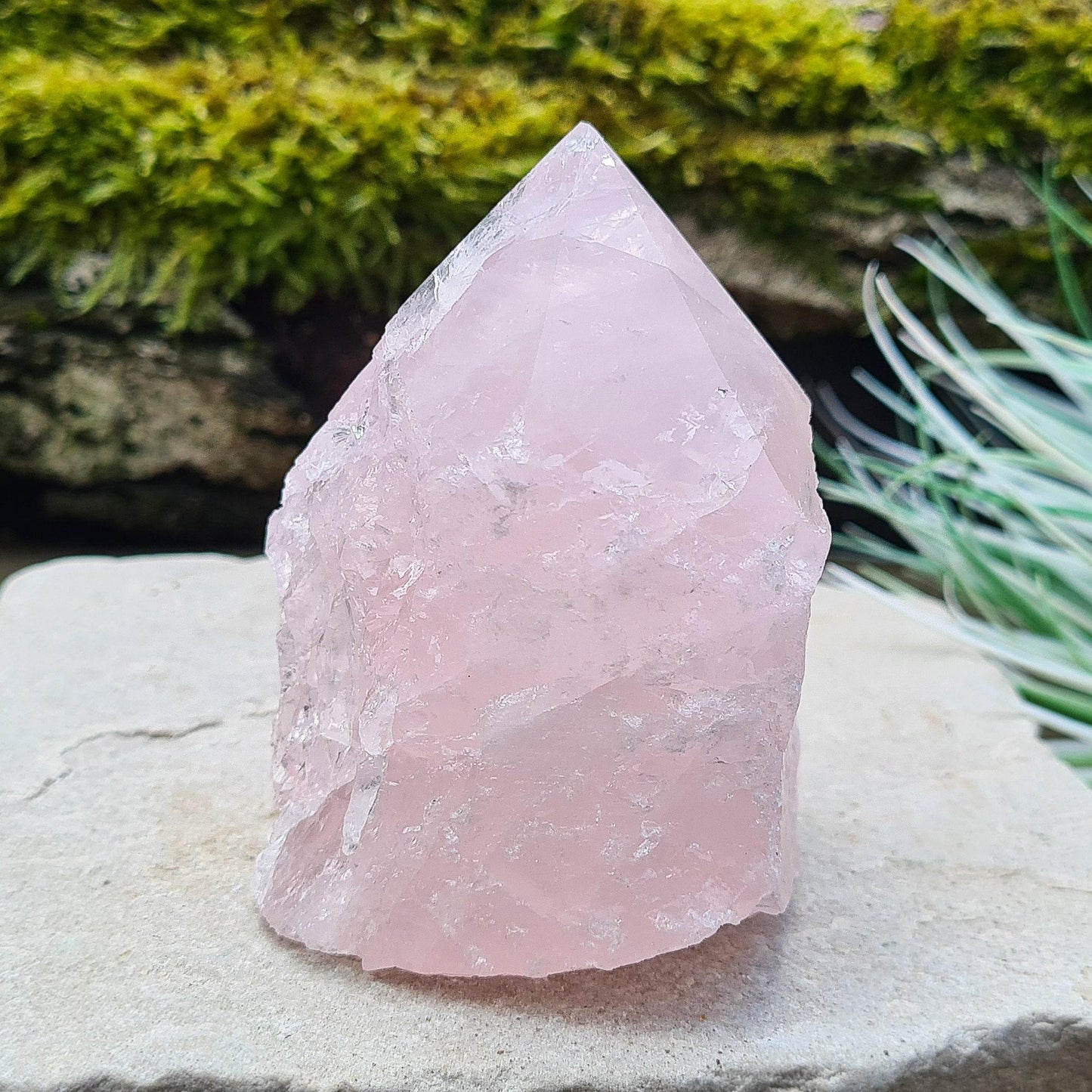 Rose Quartz Crystal Standing Point from Brazil, Pale Pink Polished Point for Love & Harmony