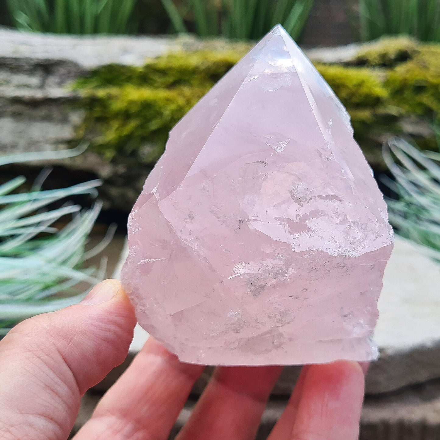 Rose Quartz Crystal Standing Point from Brazil, Pale Pink Polished Point for Love & Harmony