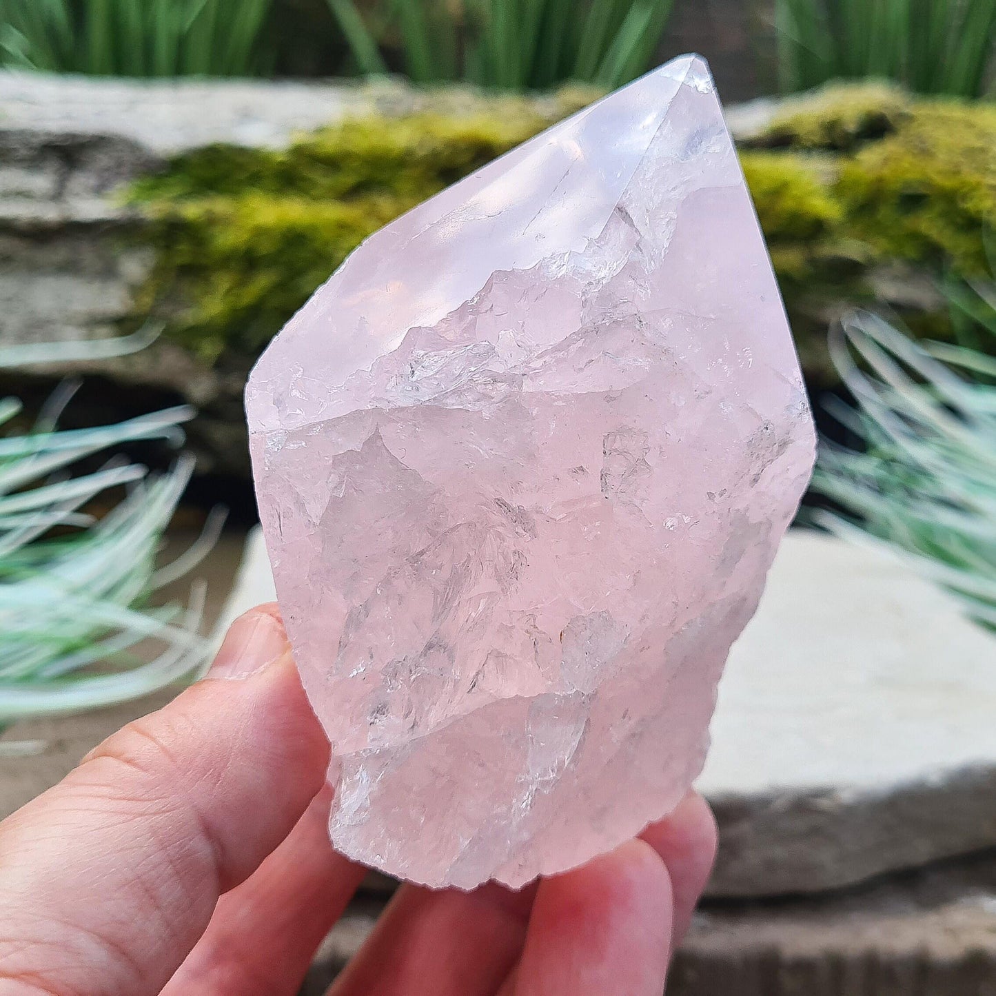 Rose Quartz Crystal Standing Point from Brazil, Pale Pink Polished Point for Love & Harmony