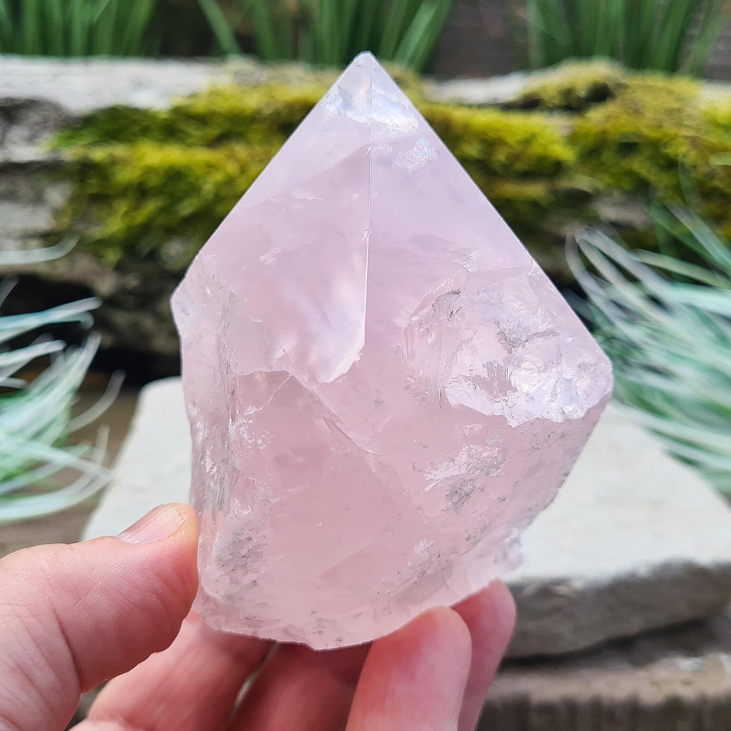 Rose Quartz Crystal Standing Point from Brazil, Pale Pink Polished Point for Love & Harmony