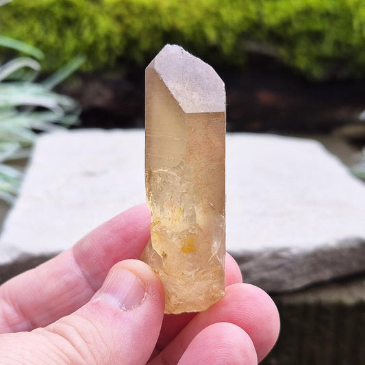 Natural Untreated Citrine Crystal Point from Northern Zambia, has a nice light honey colour. Raw and unpolished, this crystal point offers an authentic, natural touch to any collection. Great for personal use in meditation or energy work.