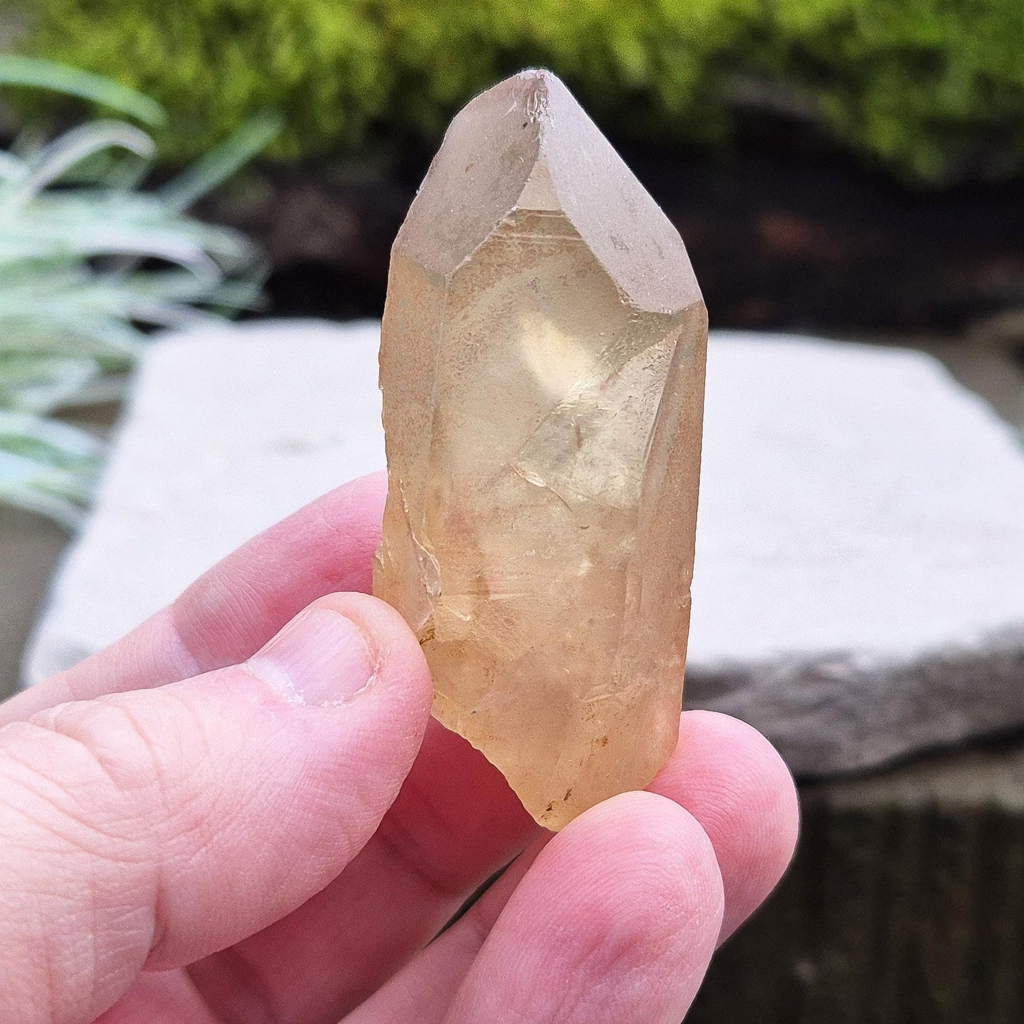 Natural Untreated Citrine Crystal Point from Northern Zambia, has a nice light honey colour. Raw and unpolished, this crystal point offers an authentic, natural touch to any collection. Great for personal use in meditation or energy work.