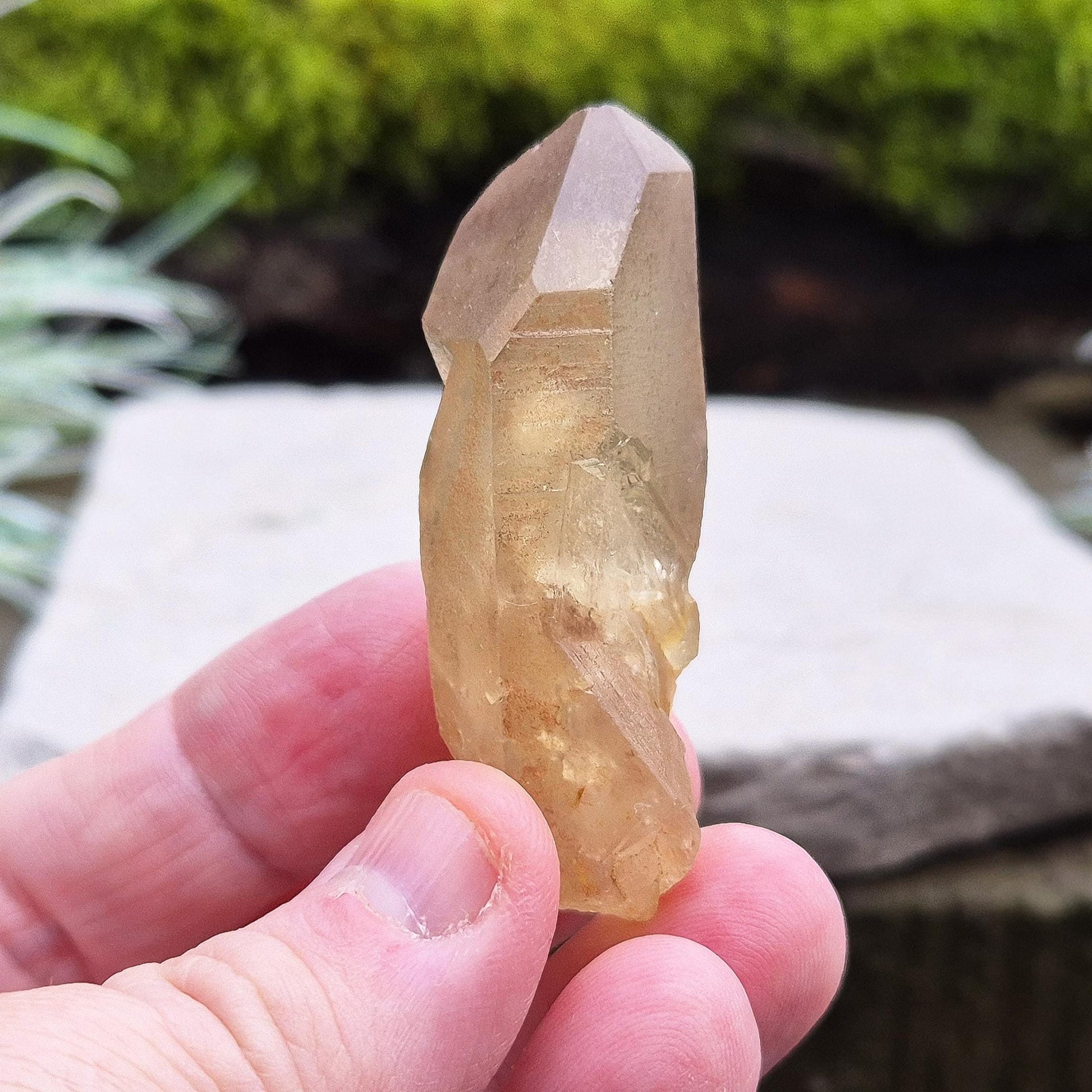 Natural Untreated Citrine Crystal Point from Northern Zambia, has a nice light honey colour. Raw and unpolished, this crystal point offers an authentic, natural touch to any collection. Great for personal use in meditation or energy work.