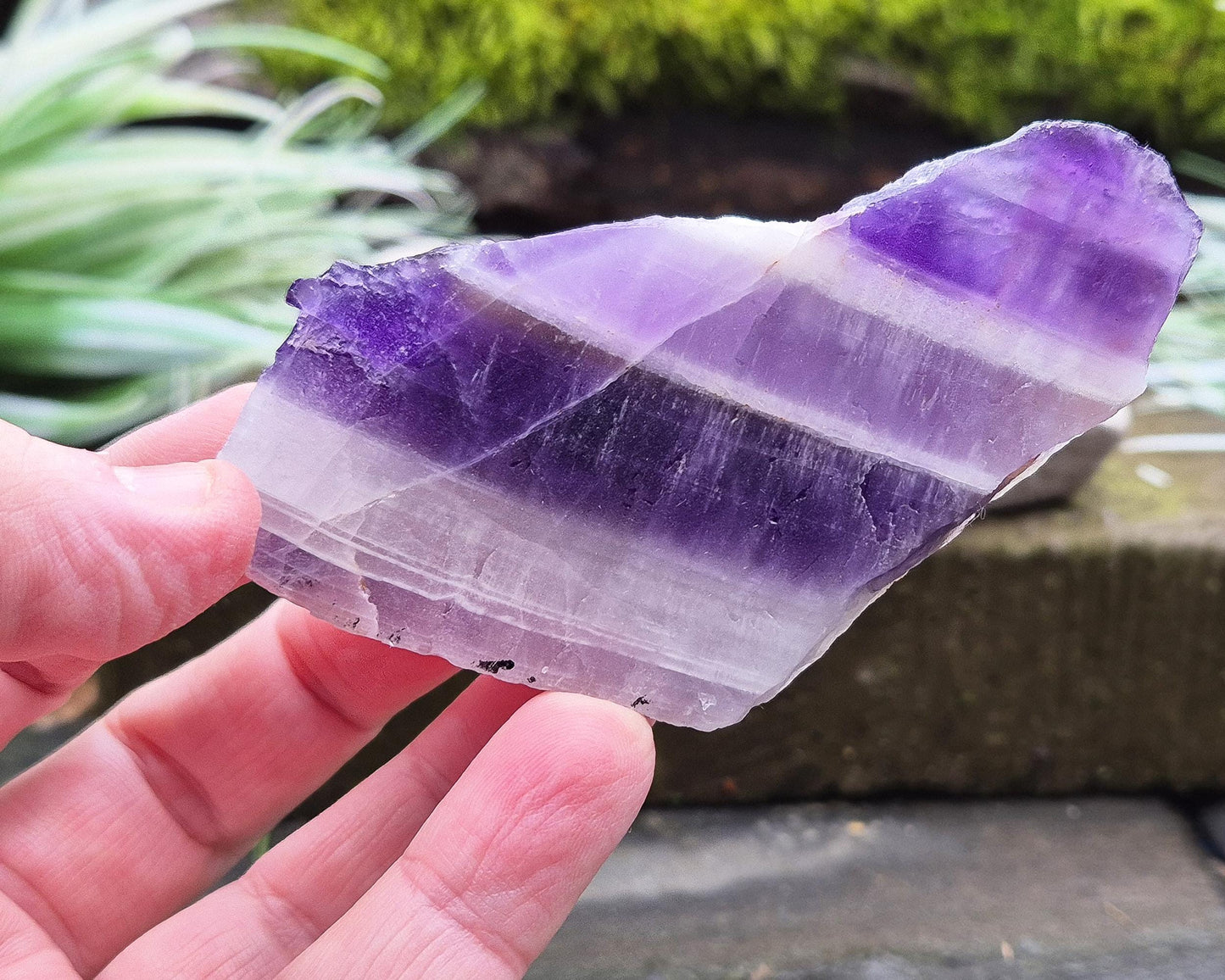 Chevron Amethyst Crystal Platform. One side is left untouched in its raw form, while the other is cut flat to create a versatile platform for displaying crystals, pendulums or jewellery or for practical use. 