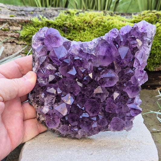 Amethyst Crystal Cluster or Amethyst Crystal Druze from Brazil. A grade. The amethyst points on this cluster are a lovely dark purple colour. 