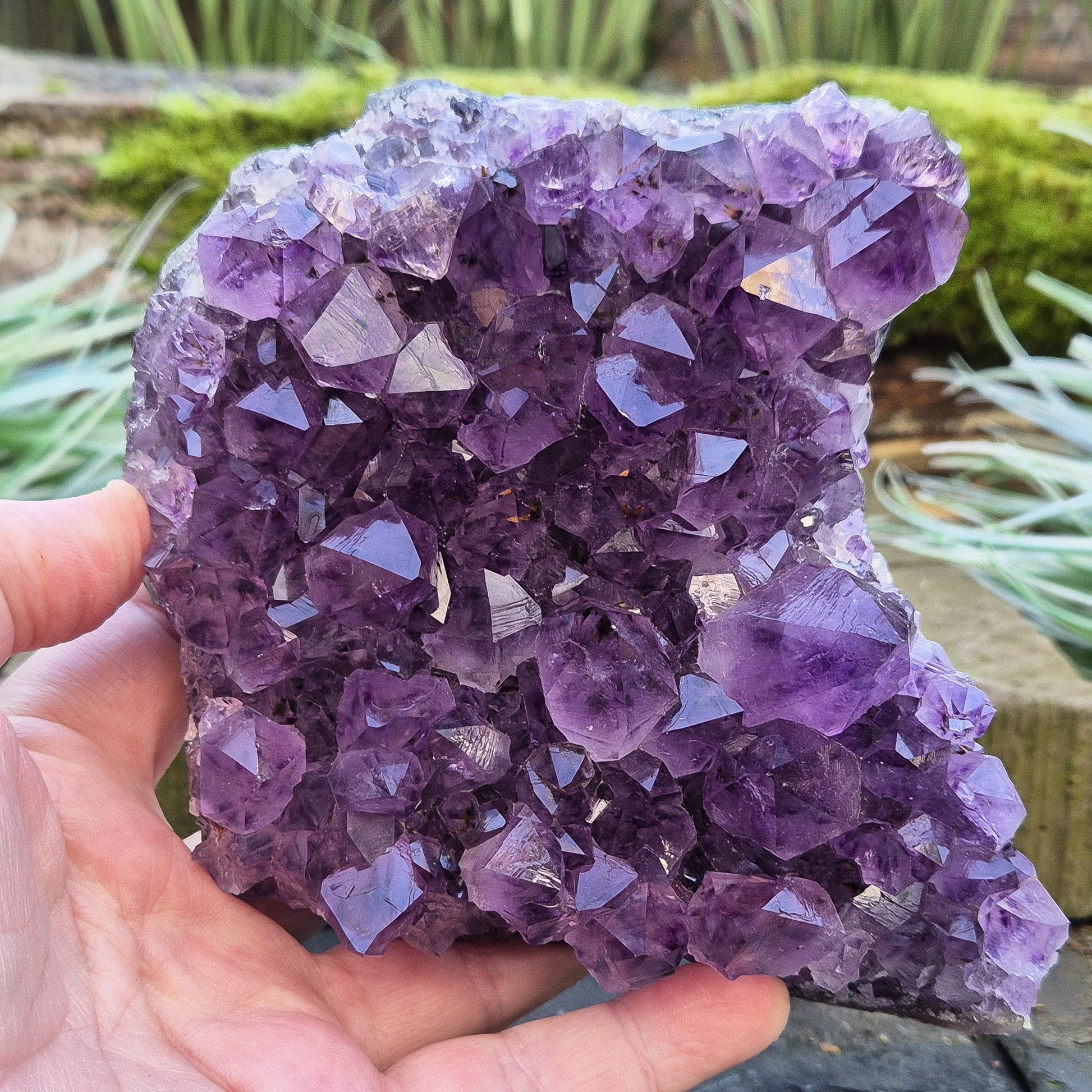Amethyst Crystal Cluster from Brazil. A grade. The amethyst points on this cluster are a lovely dark purple colour.

Amethyst is loved for its calming presence, bringing peace, clarity, and balance to your space.