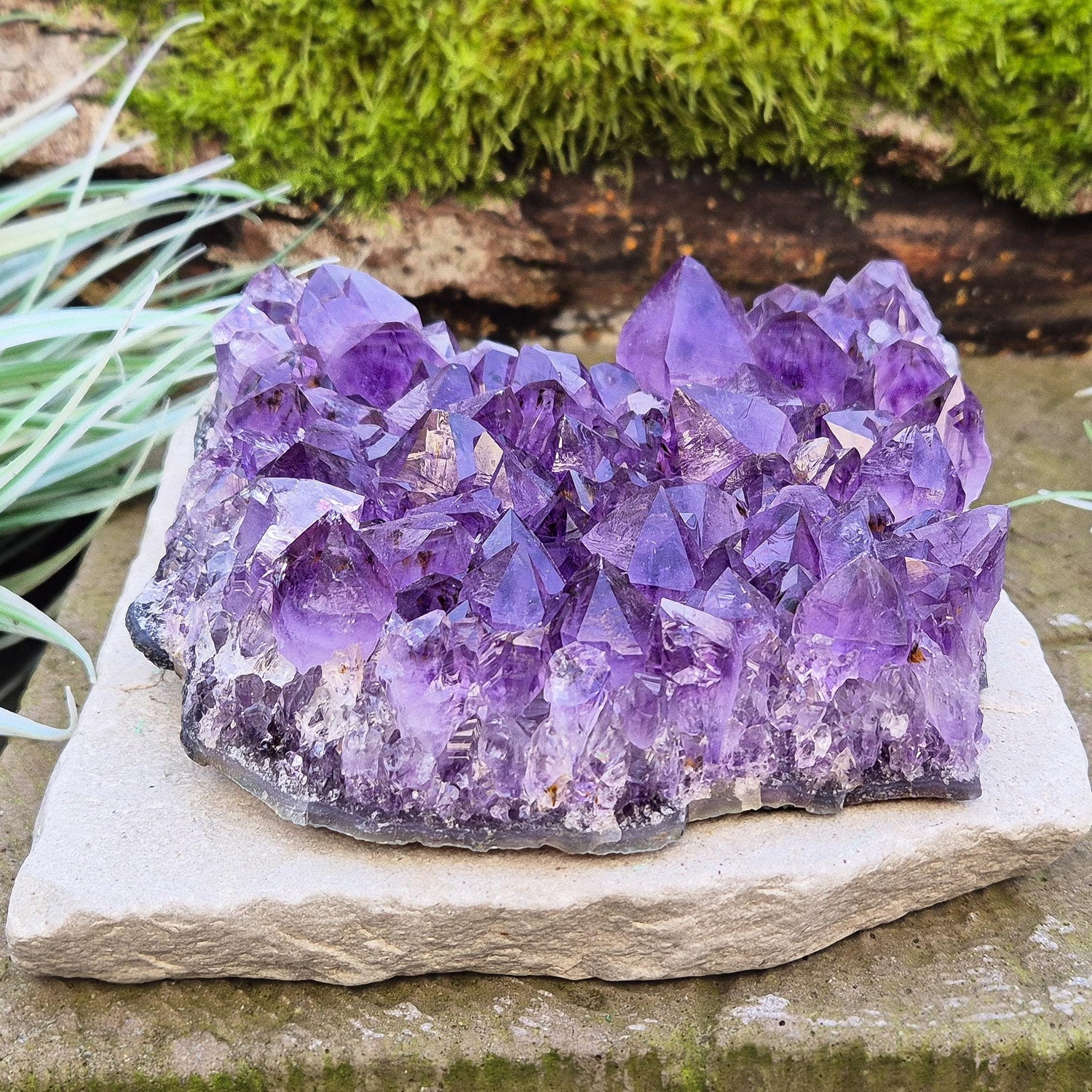 Amethyst Crystal Cluster from Brazil. A grade. The amethyst points on this cluster are a lovely dark purple colour.

Amethyst is loved for its calming presence, bringing peace, clarity, and balance to your space.