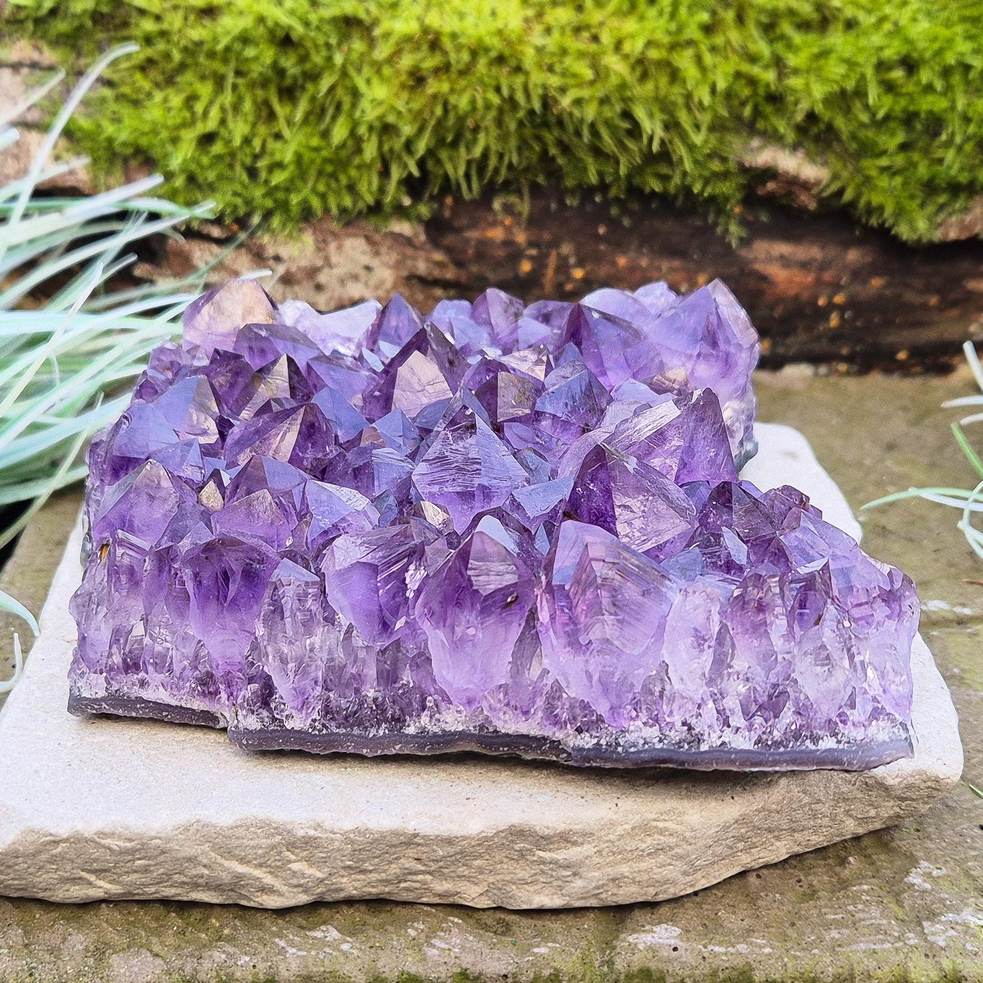 Amethyst Crystal Cluster from Brazil. A grade. The amethyst points on this cluster are a lovely dark purple colour.

Amethyst is loved for its calming presence, bringing peace, clarity, and balance to your space.