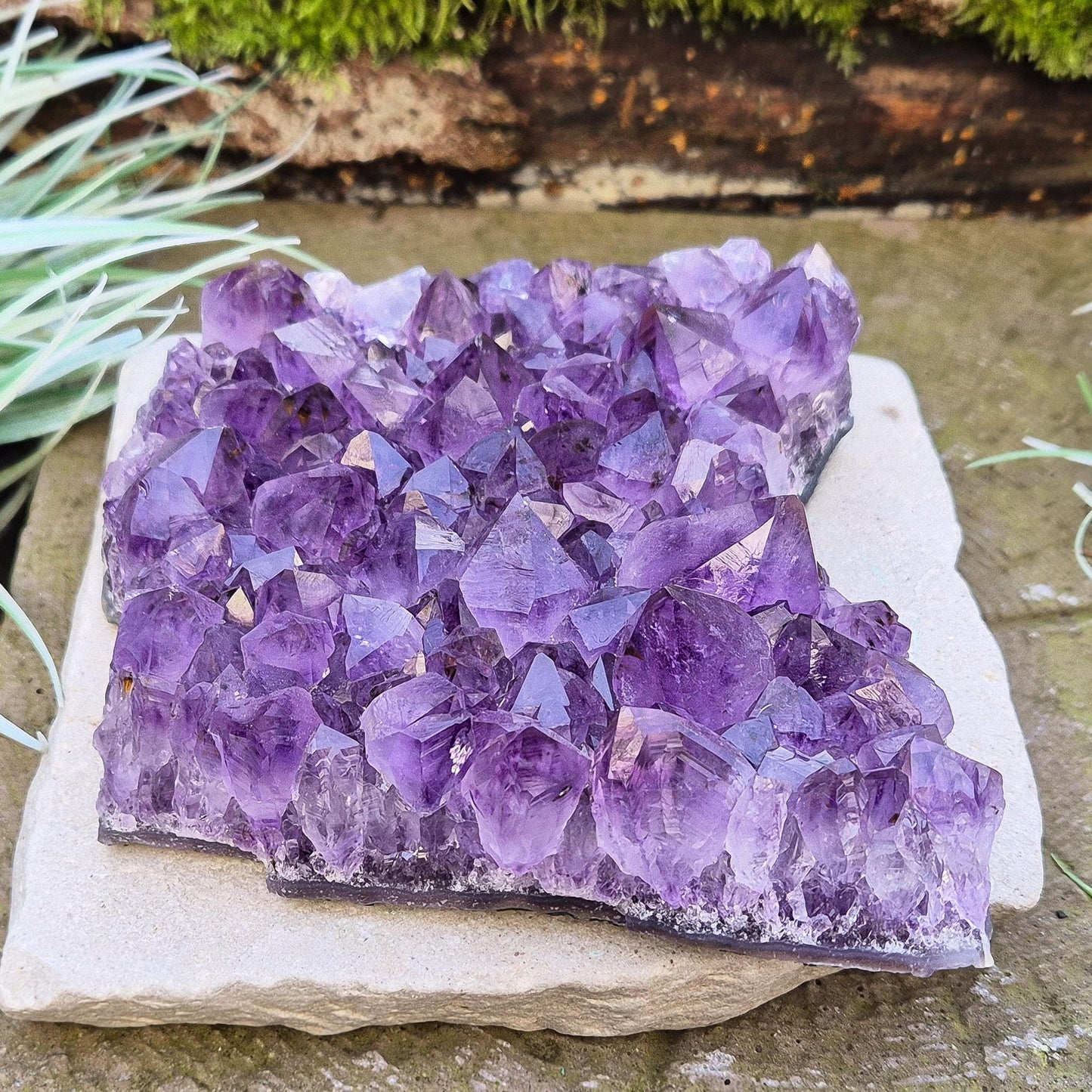 Amethyst Crystal Cluster, Natural, Brazil