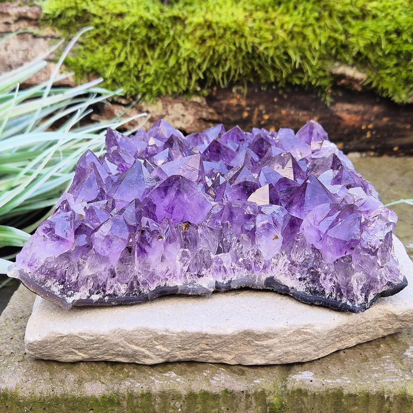 Amethyst Crystal Cluster, Natural, Brazil