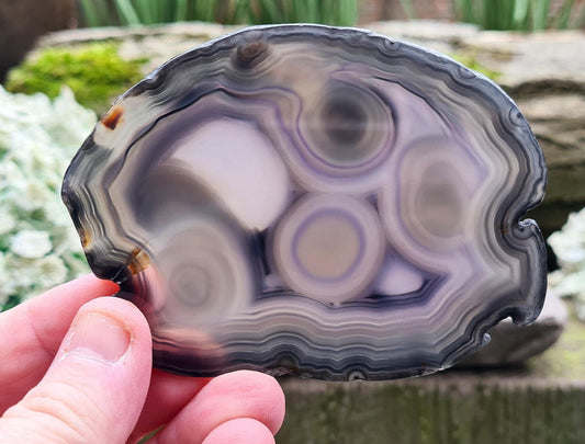 Agate Crystal Slice. This beautiful Agate Slice from Brazil showcases stunning natural patterns and rich color. 