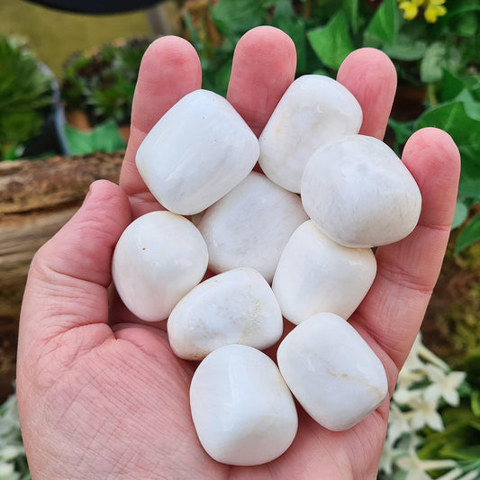 Scolecite Crystal Tumble Stones from India. Scolecite is a high vibrational stone with a soft and gentle energy.