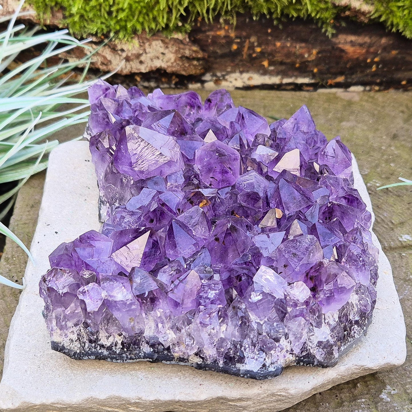 Amethyst Crystal Cluster, Natural, Brazil