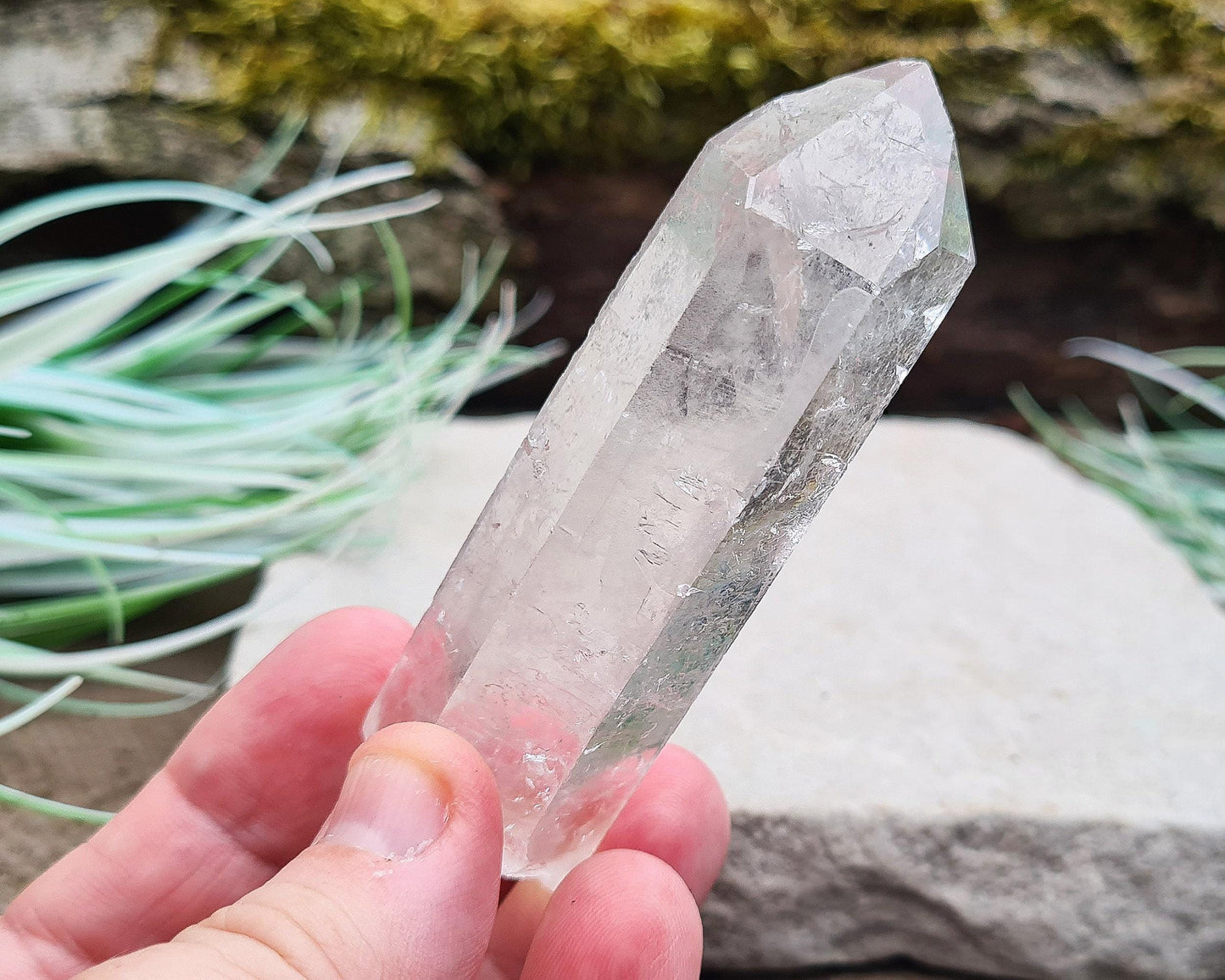 Starbrary Quartz Point – Rare Crystal | Crystal for Intuition & Spiritual Insight | Crystal Gift