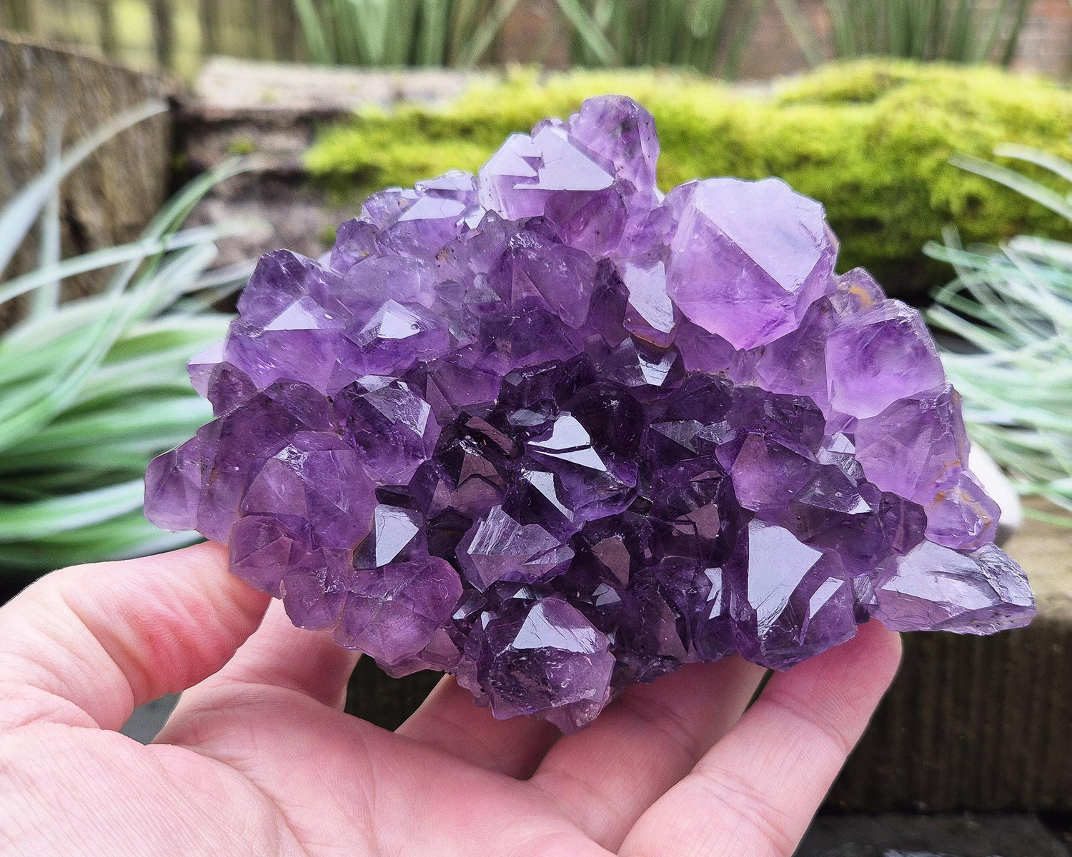 Amethyst Crystal Cluster or Amethyst Crystal Druze from Brazil. A grade. The amethyst points on this cluster are a lovely dark purple colour.