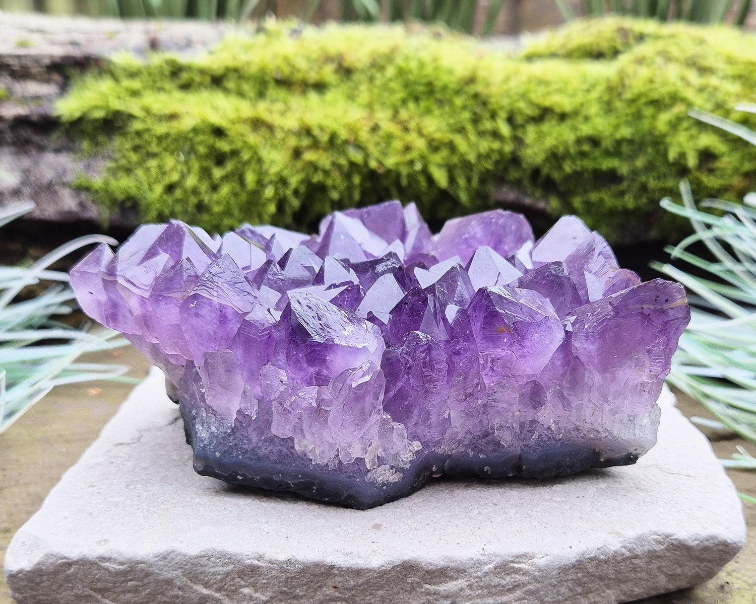 Amethyst Crystal Cluster or Amethyst Crystal Druze from Brazil. A grade. The amethyst points on this cluster are a lovely dark purple colour.