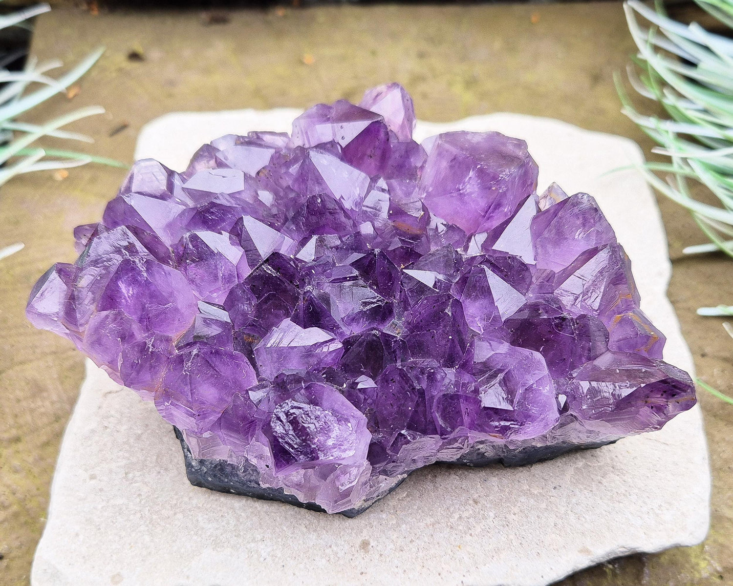 Amethyst Crystal Cluster or Amethyst Crystal Druze from Brazil. A grade. The amethyst points on this cluster are a lovely dark purple colour.