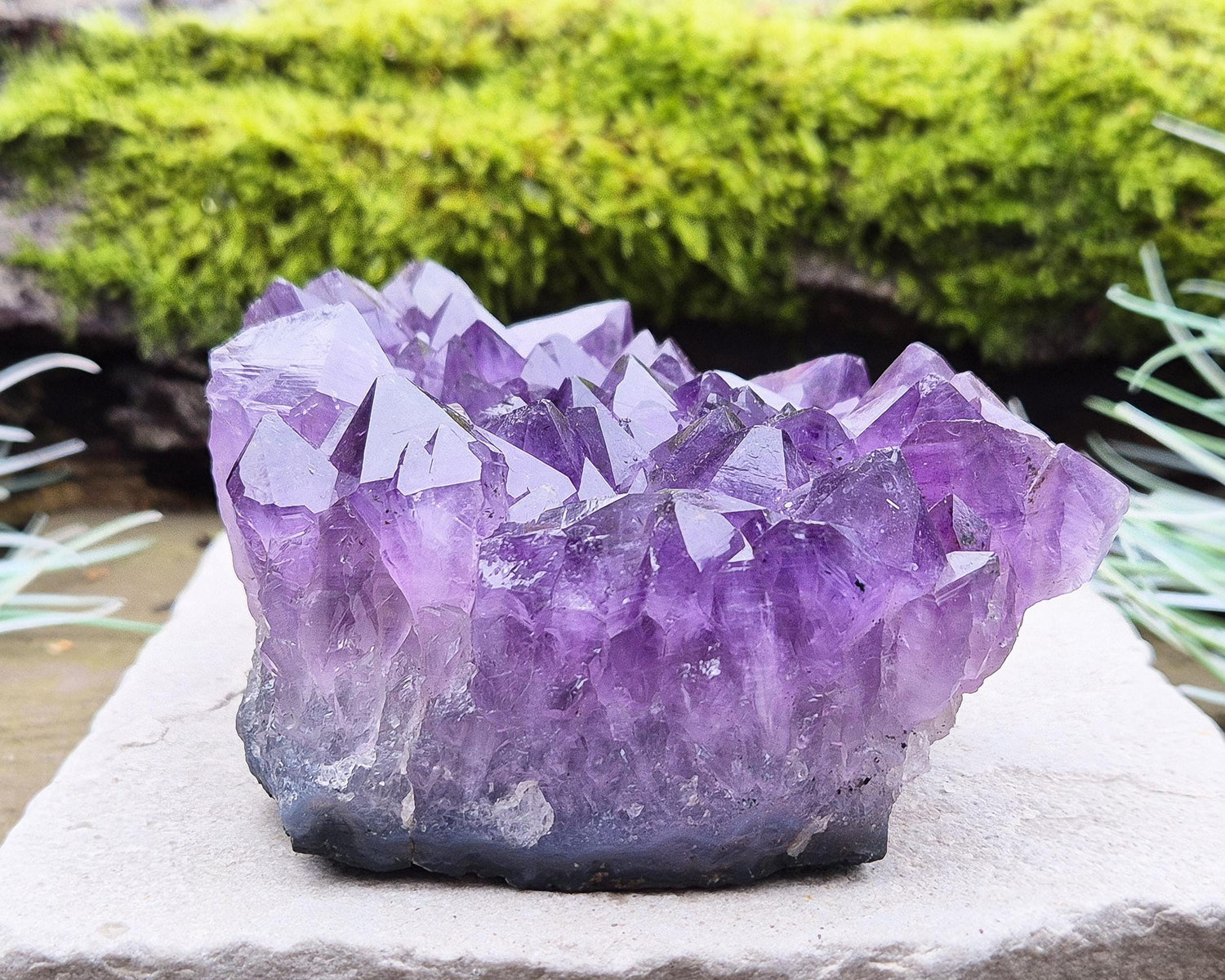 Amethyst Crystal Cluster or Amethyst Crystal Druze from Brazil. A grade. The amethyst points on this cluster are a lovely dark purple colour.