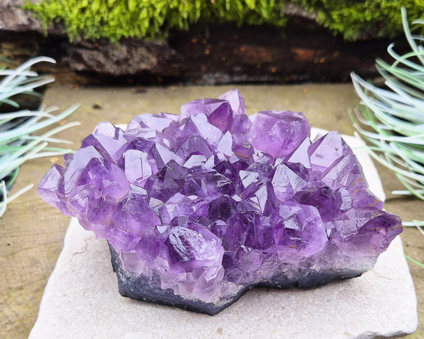 Amethyst Crystal Cluster, Natural