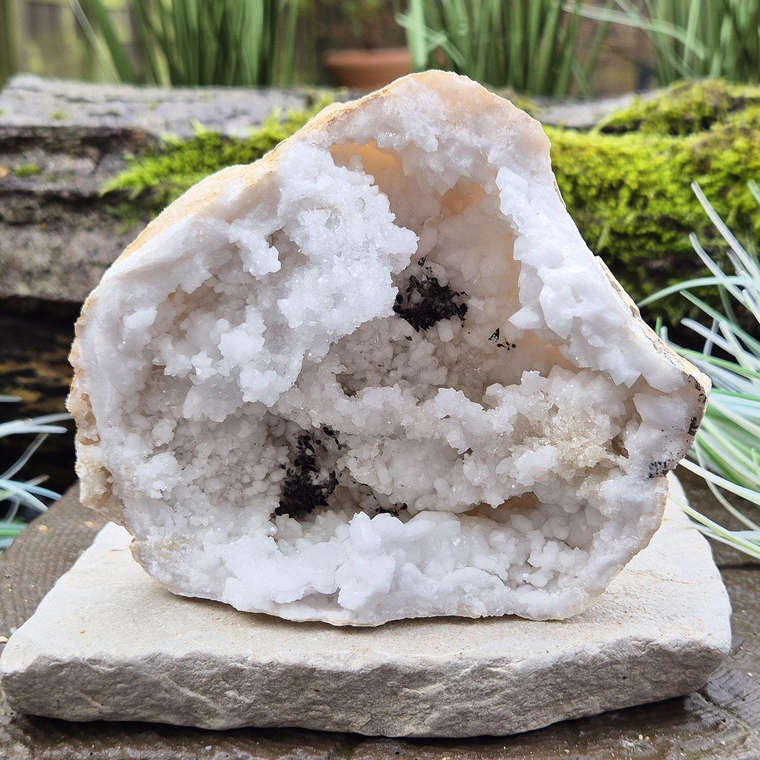 White Quartz Crystal Geode half section, from Morocco. Lovely sparkling white quartz crystal formations and also has 2 areas where there looks to be black quartz, I am assuming a black mineral was present in the geode as the crystalline structure was forming. 