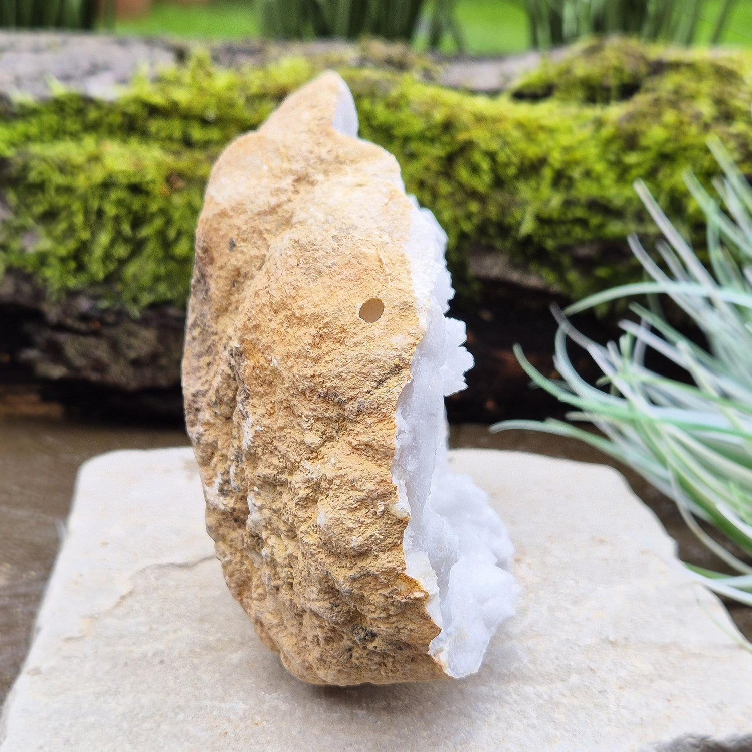 White Quartz Crystal Geode half section, from Morocco. Lovely sparkling white quartz crystal formations and also has 2 areas where there looks to be black quartz, I am assuming a black mineral was present in the geode as the crystalline structure was forming. 