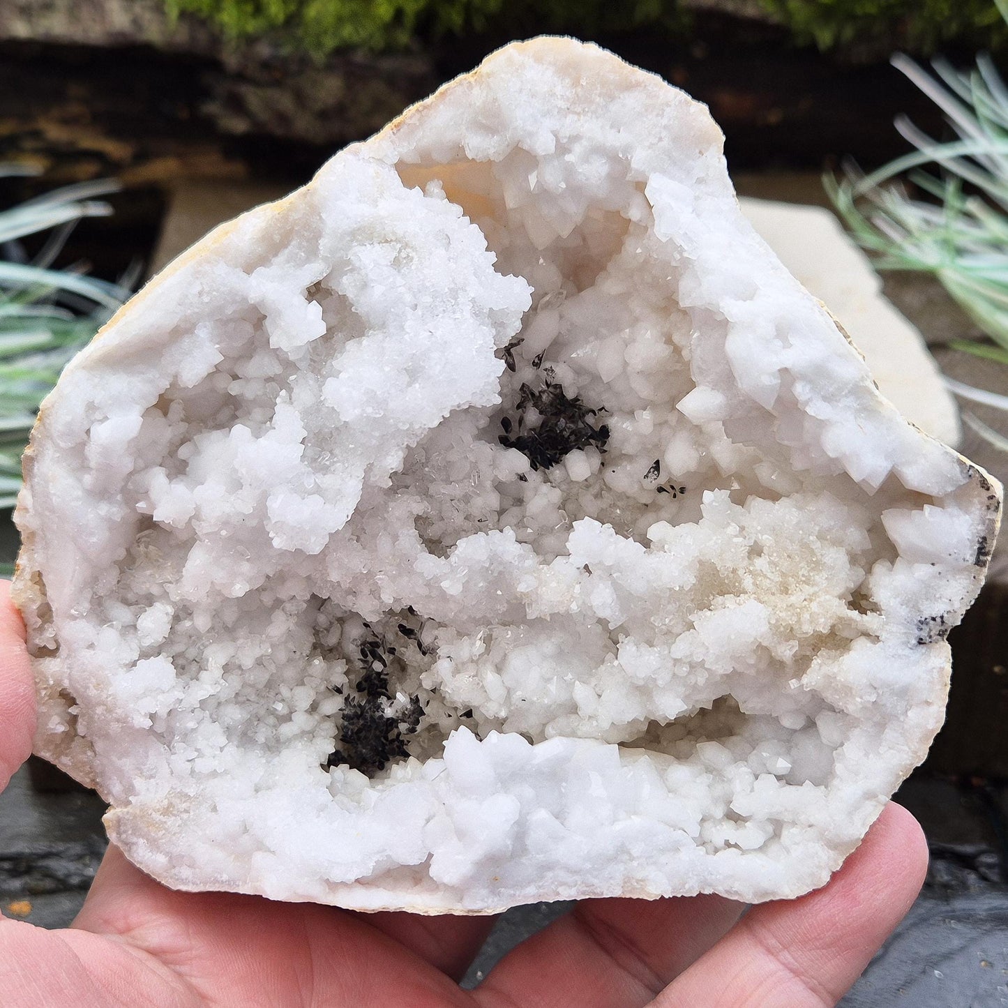 Quartz Crystal Geode Half Section