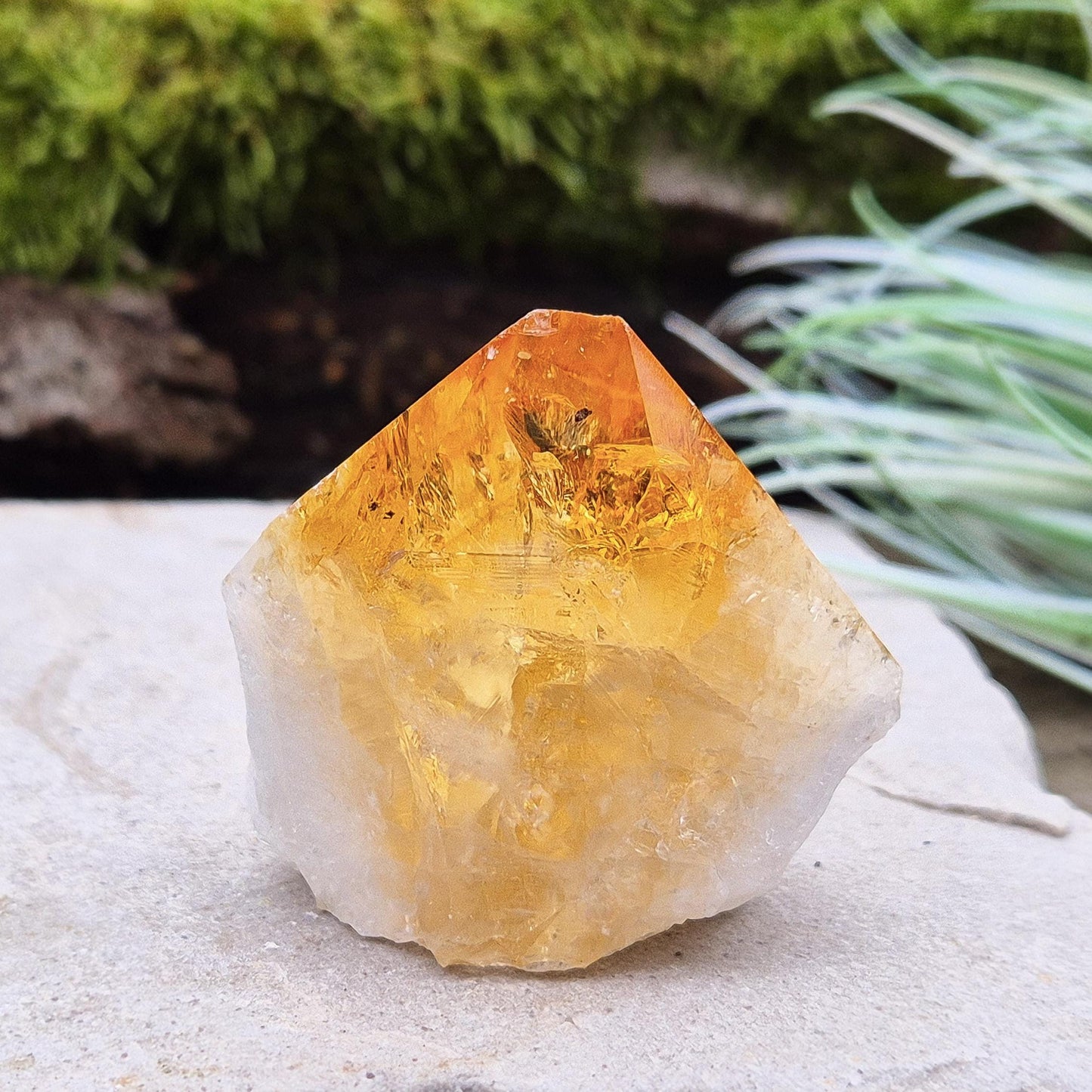 This crystal point offers an authentic, natural touch to any collection. Citrine is often appreciated for its bright, uplifting energy and is associated with clarity, motivation, and a positive outlook.
