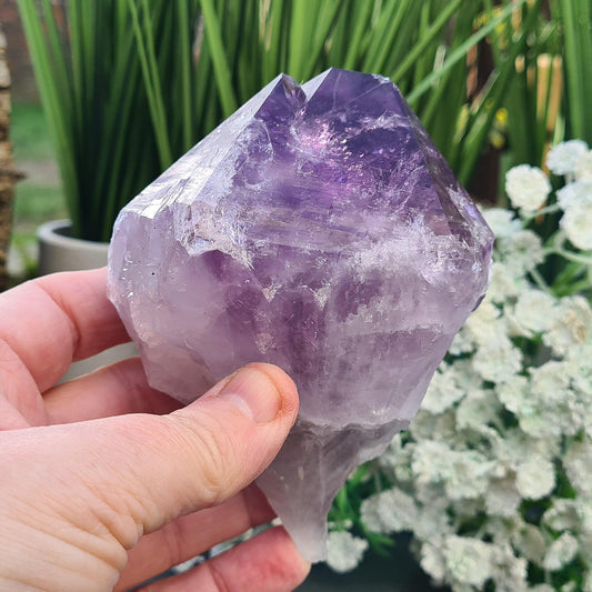 Large Brazilian Amethyst Point. Striking dark purple with a polished double-tipped point and natural body. Also Known as Amethyst Teeth.