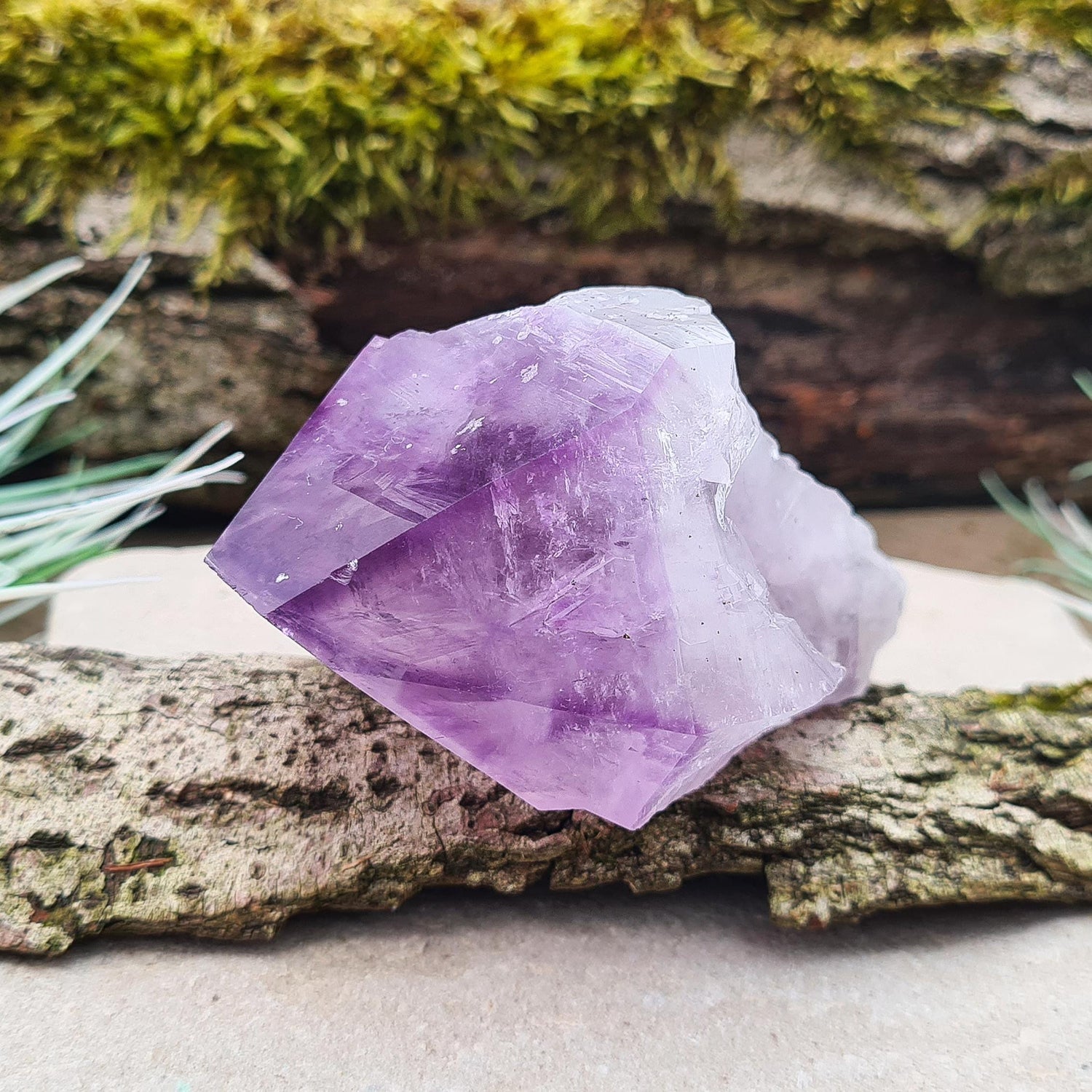 Brazilian Amethyst Point. Deep dark purple with a polished tip and natural body. Also known as "Amethyst Teeth" or "Amethyst Root."