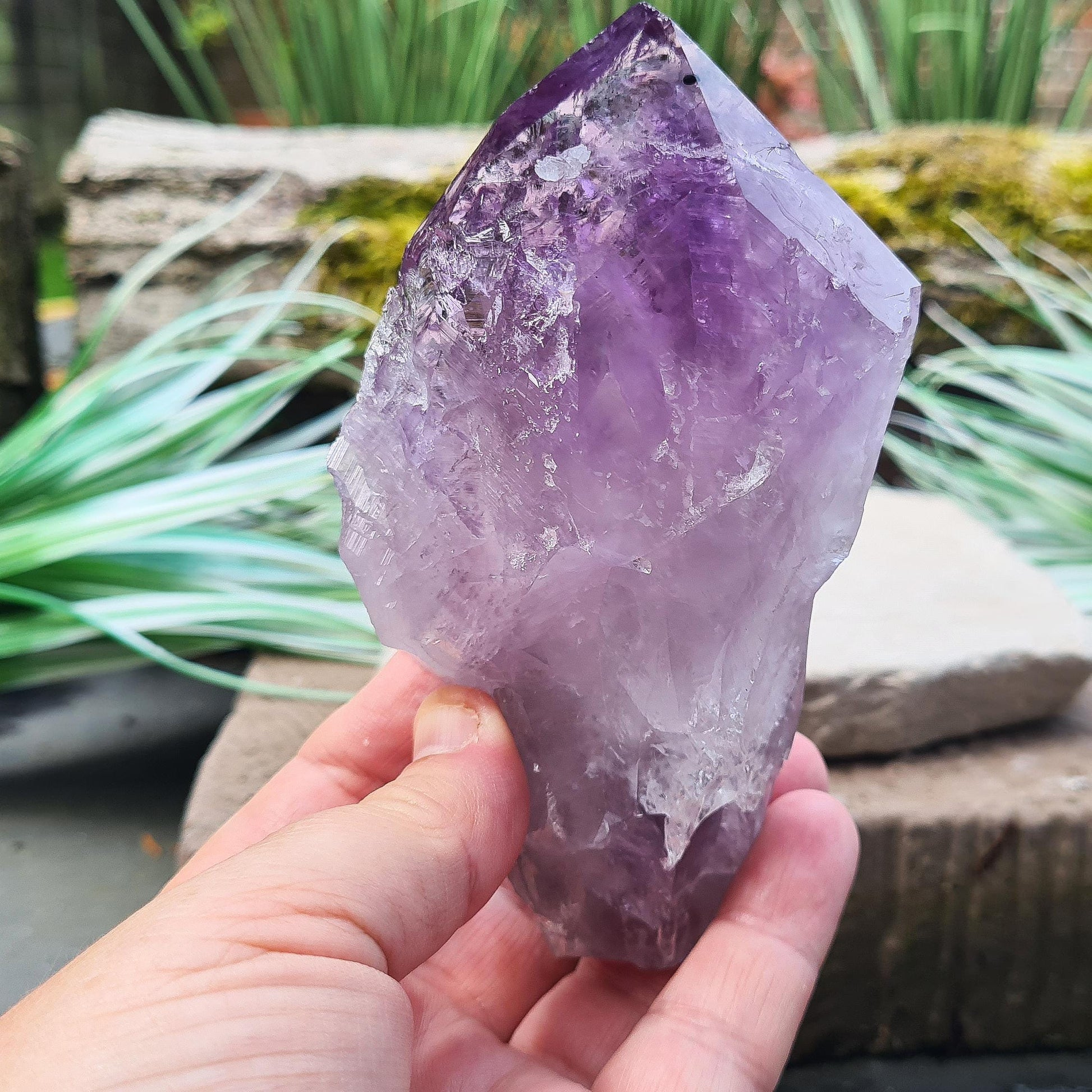 Brazilian Amethyst Point. Deep dark purple with a polished tip and natural body. Also known as "Amethyst Teeth" or "Amethyst Root."