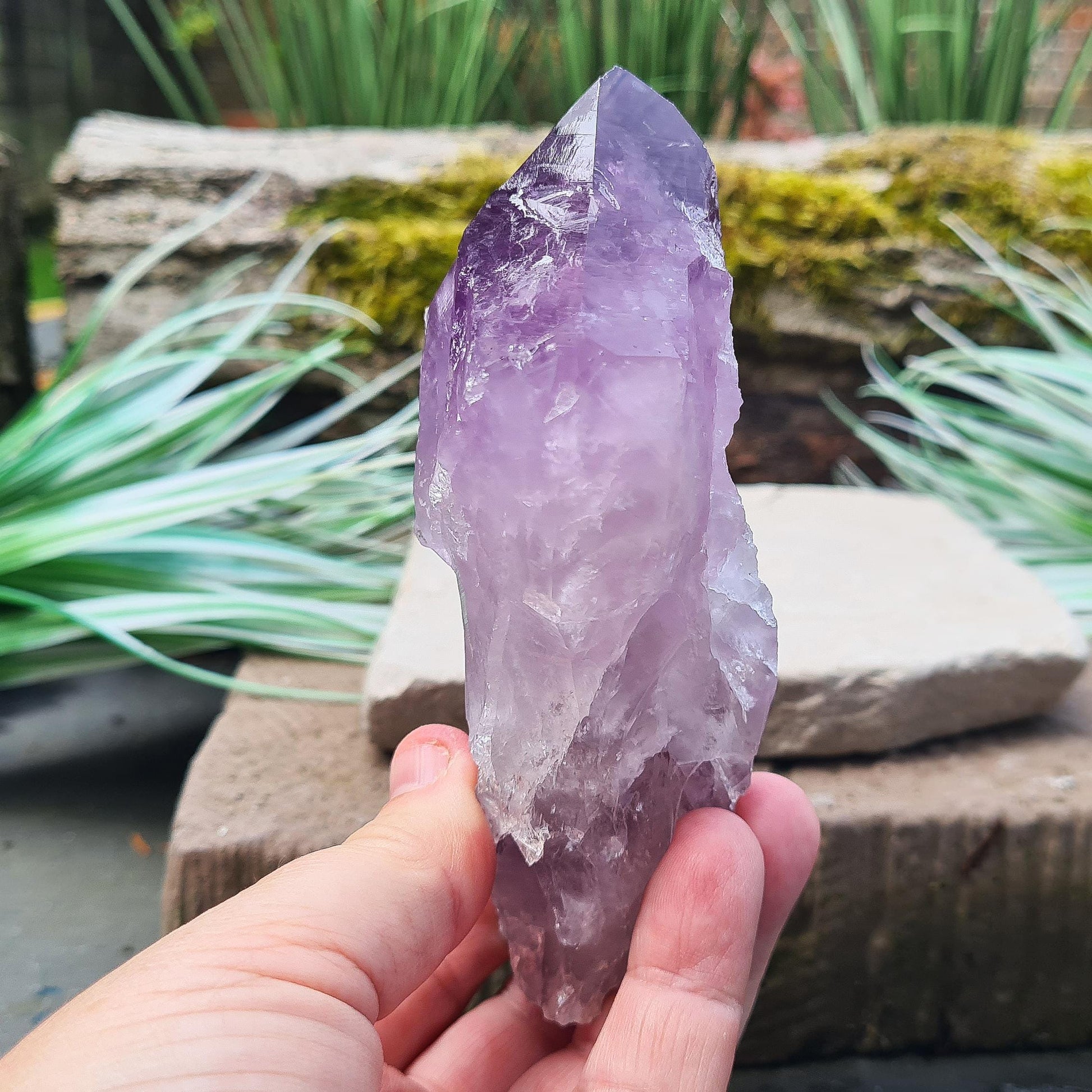 Brazilian Amethyst Point. Deep dark purple with a polished tip and natural body. Also known as "Amethyst Teeth" or "Amethyst Root."