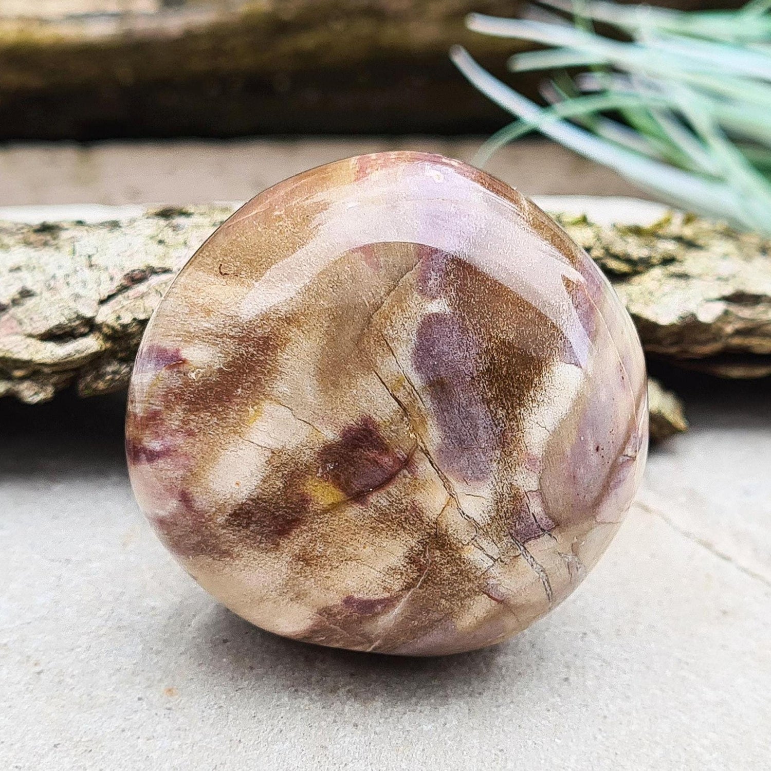 Petrified Wood Crystal Pebble. Fabulous earthy colouring and patterning. Petrified wood is created when a living tree falls into water and mineral elements are absorbed into the wood. 