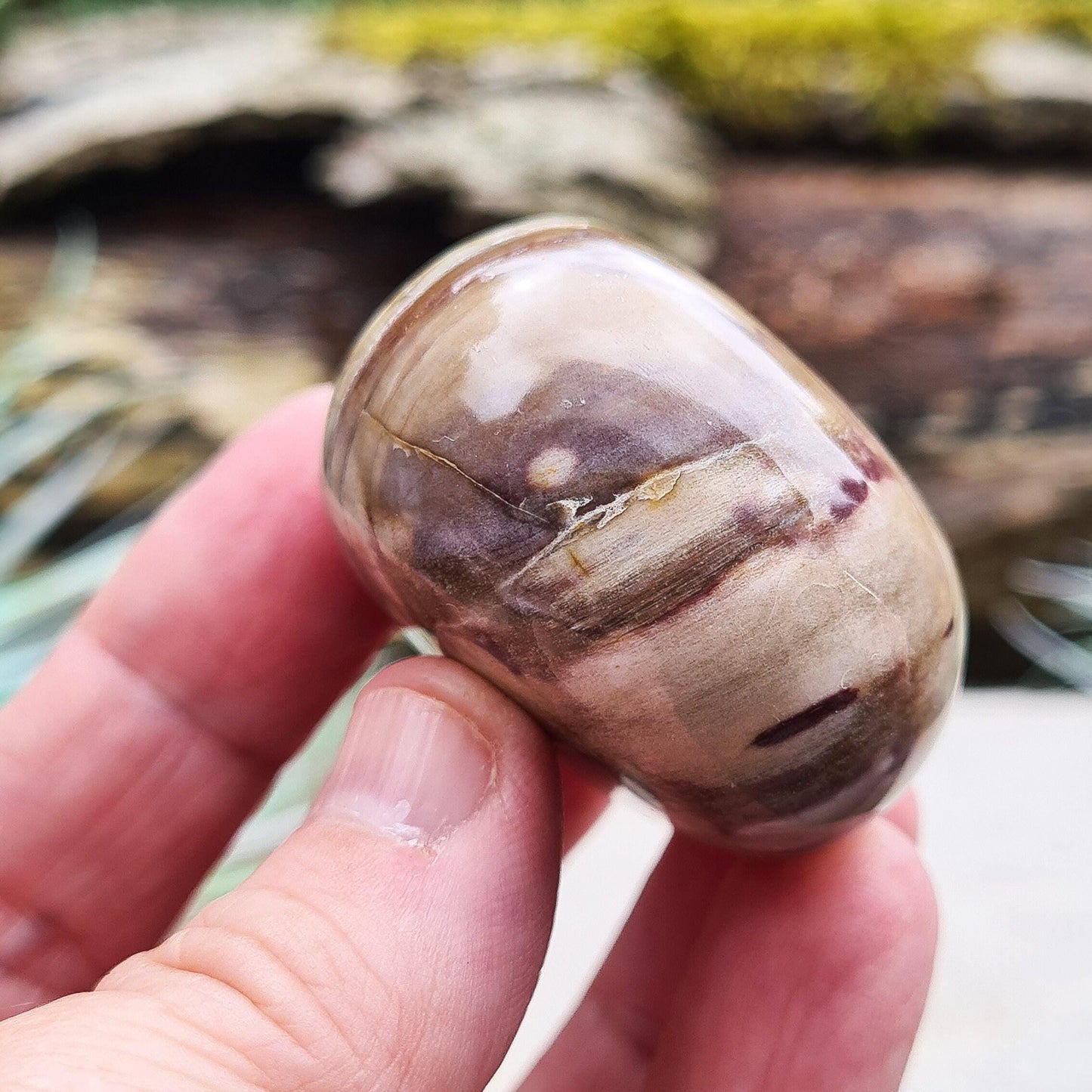 Petrified Wood Crystal Pebble. Fabulous earthy colouring and patterning. Petrified wood is created when a living tree falls into water and mineral elements are absorbed into the wood. 