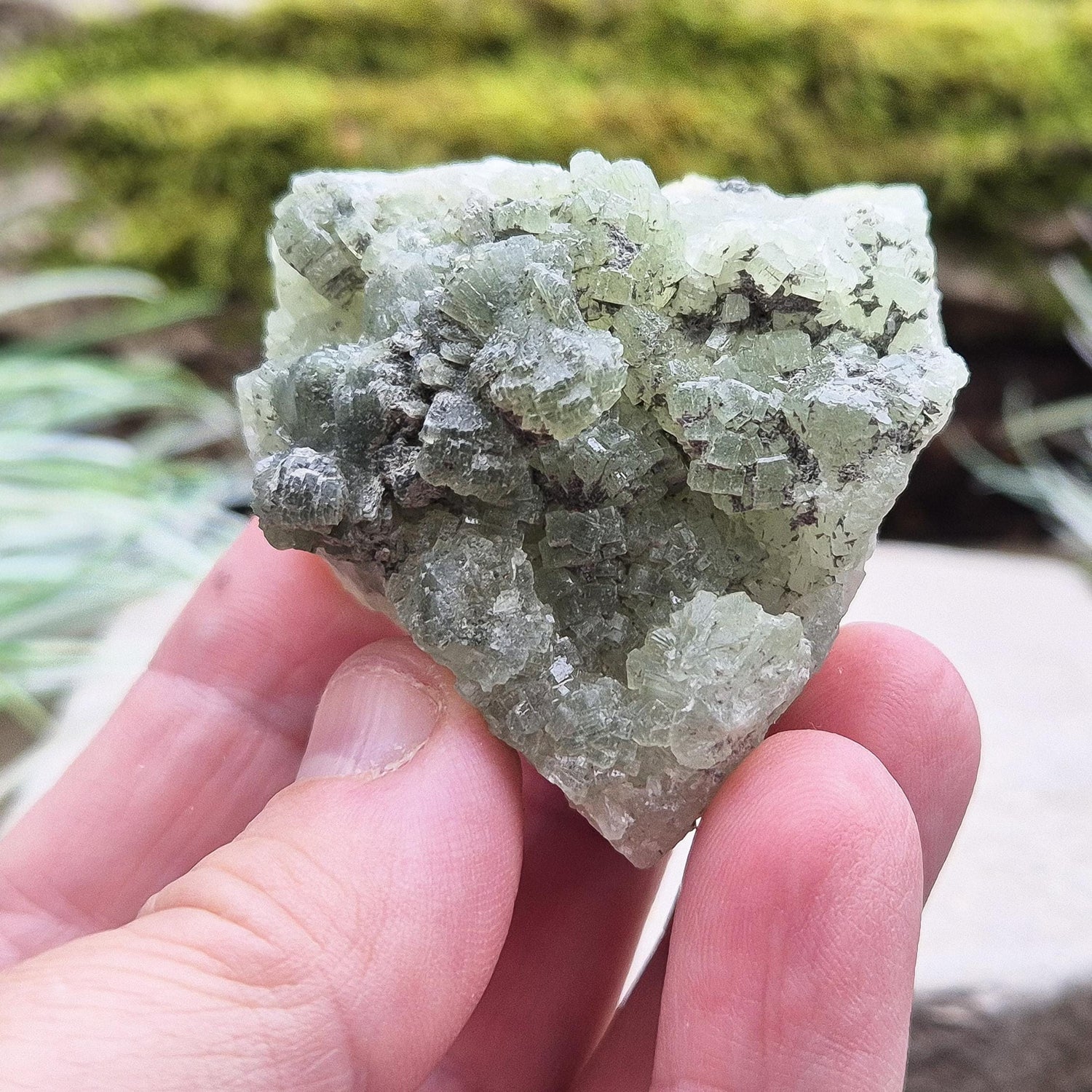 Natural Prehnite Crystal Cluster from New South Wales, Australia. Sparkly light green prehnite crystals on the top and a darker green colour on the other side.