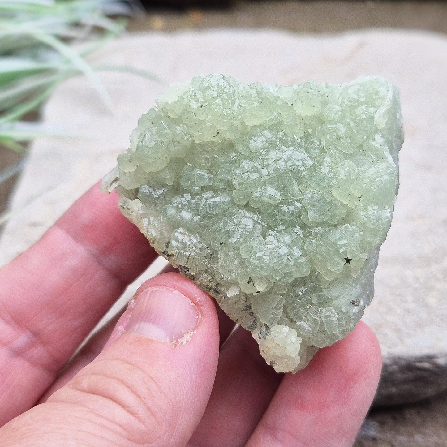 Natural Prehnite Crystal Cluster from New South Wales, Australia. Sparkly light green prehnite crystals on the top and a darker green colour on the other side.