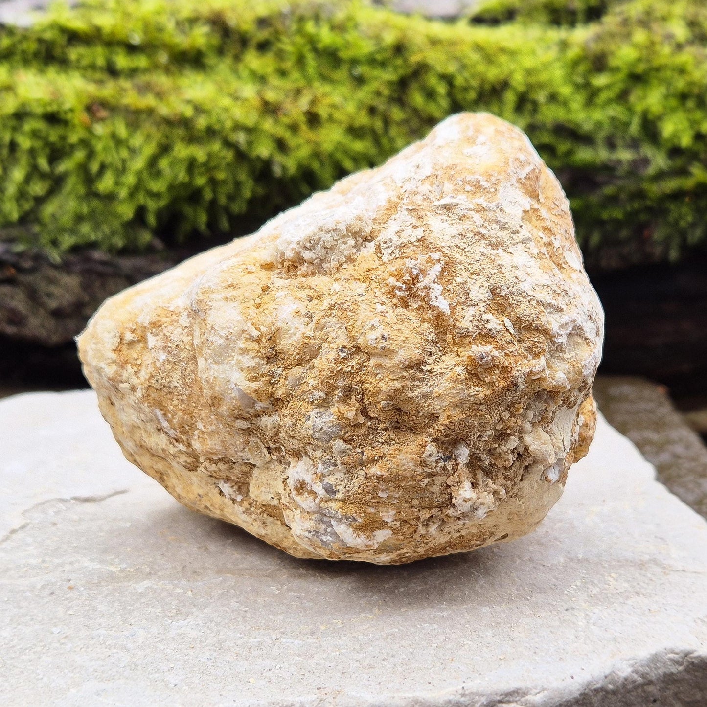 White Quartz Crystal Geode, Half