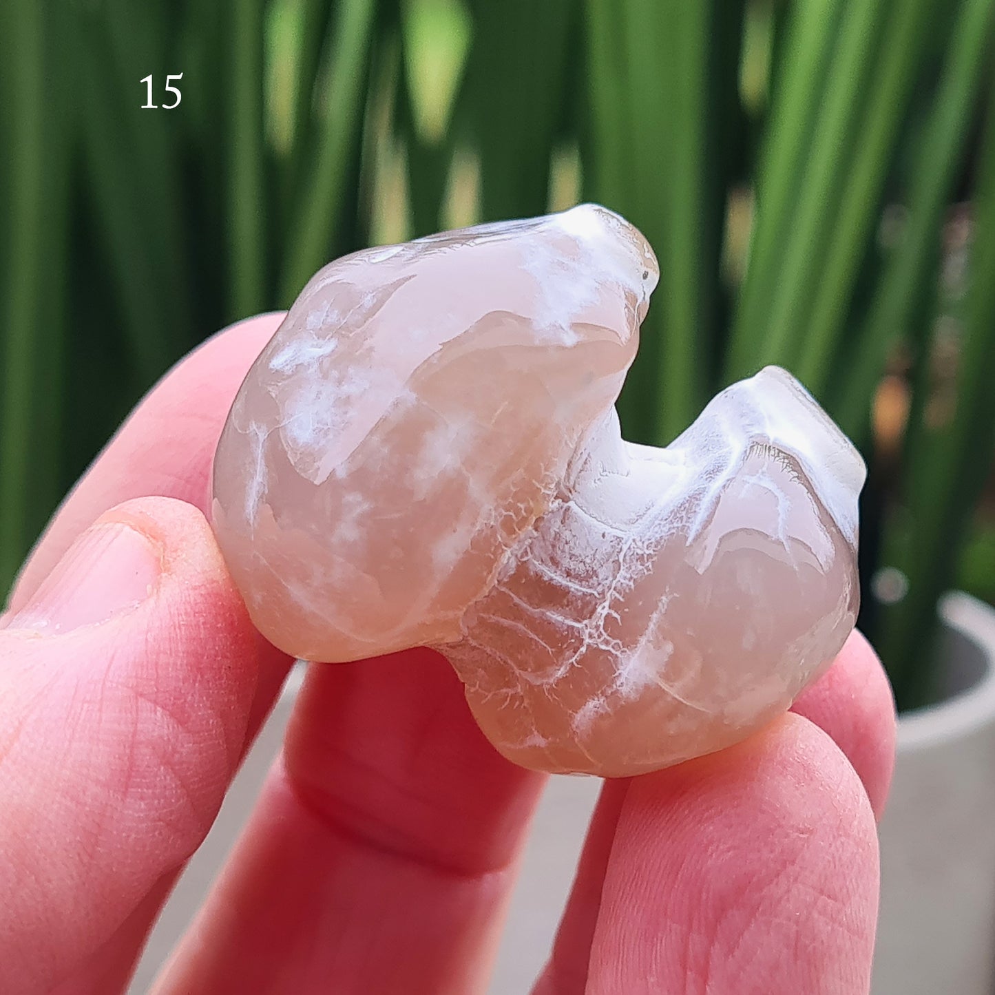 Snakeskin Agate Crystal from Oregon, USA, is a rare, semi-translucent stone with unique markings resembling snake skin. 