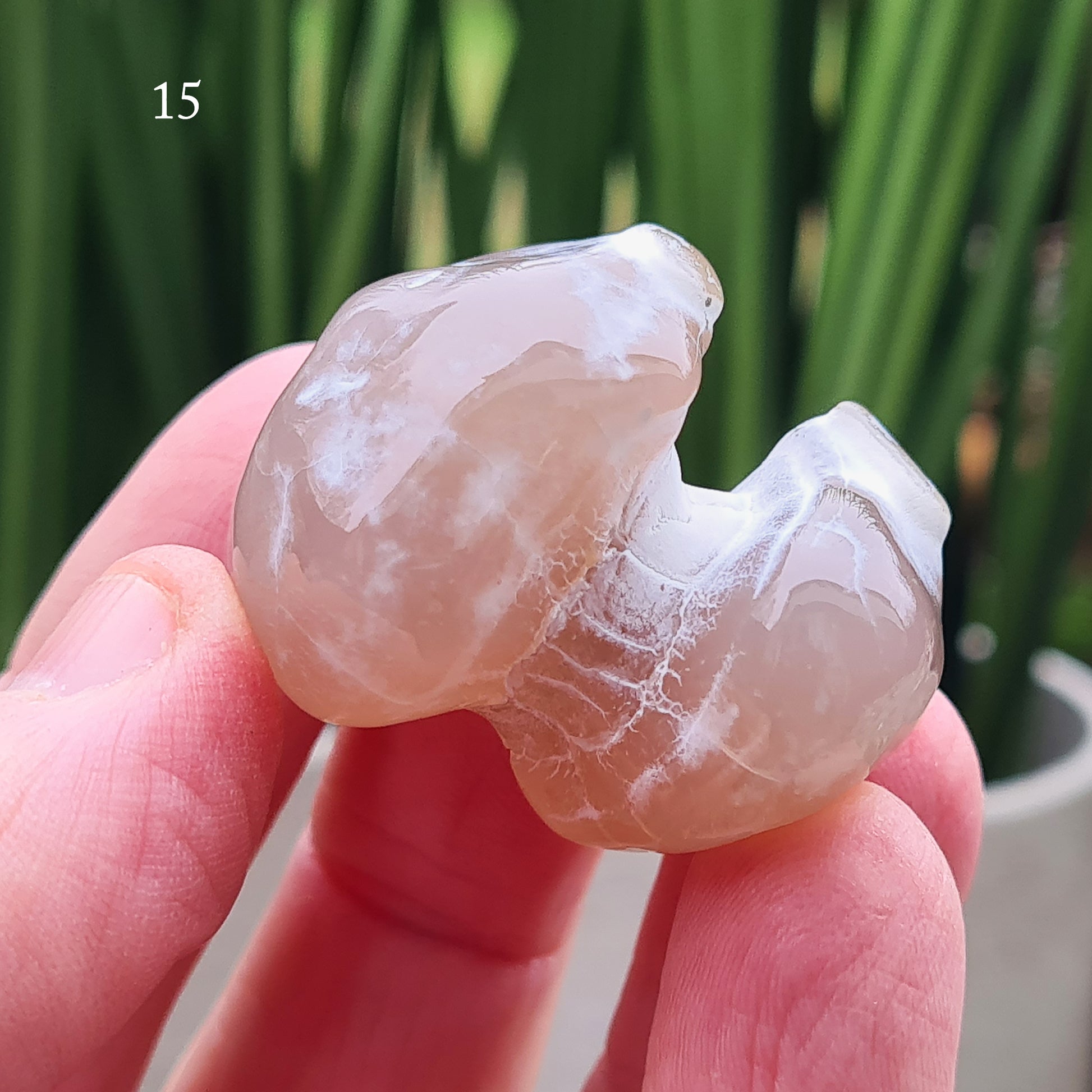 Snakeskin Agate Crystal from Oregon, USA, is a rare, semi-translucent stone with unique markings resembling snake skin. 