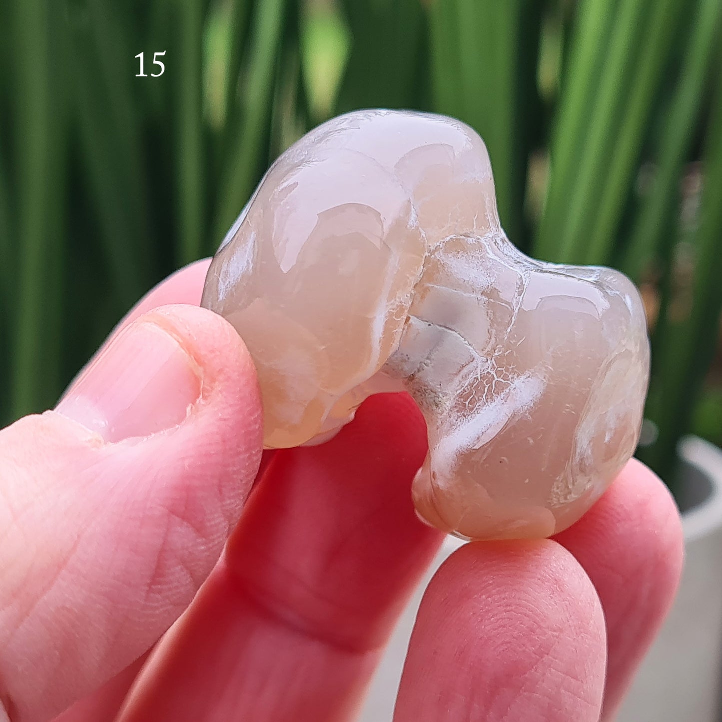 Snakeskin Agate Crystal from Oregon, USA, is a rare, semi-translucent stone with unique markings resembling snake skin. 