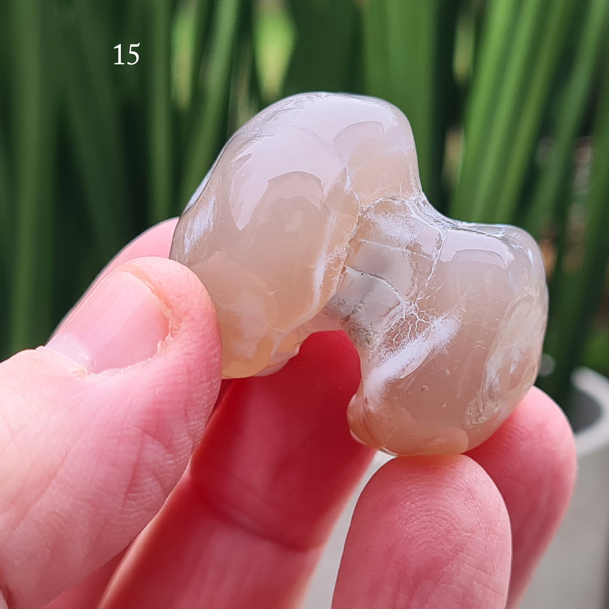 Snakeskin Agate Crystal from Oregon, USA, is a rare, semi-translucent stone with unique markings resembling snake skin. 